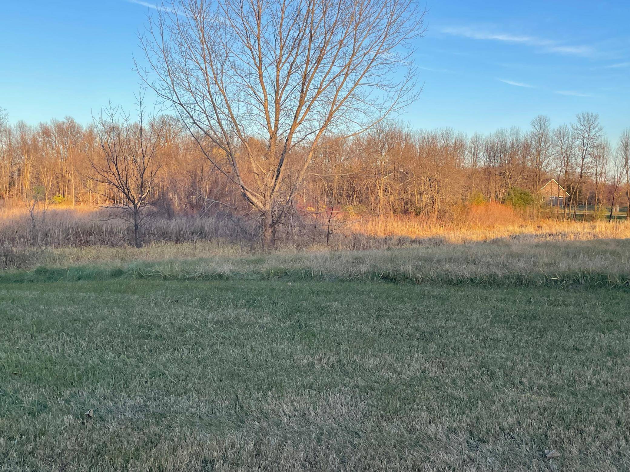 Lot 11 Block 1 Donway PL NE, Alexandria, MN 56308