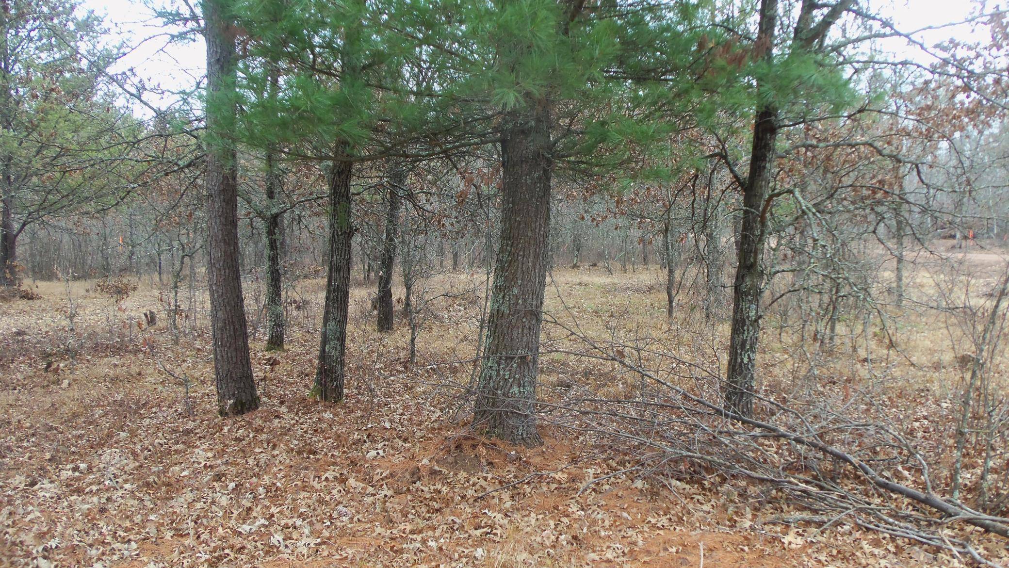 Lot 8 Canute Creek Trl, Grantsburg, WI 54840