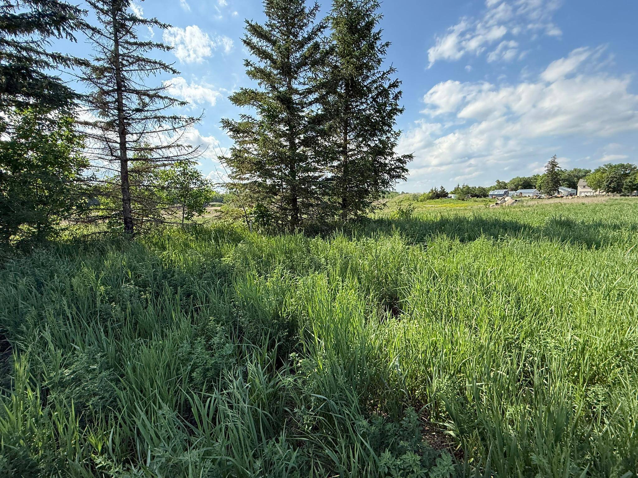 8292 Cabot AVE, Medford, MN 55049