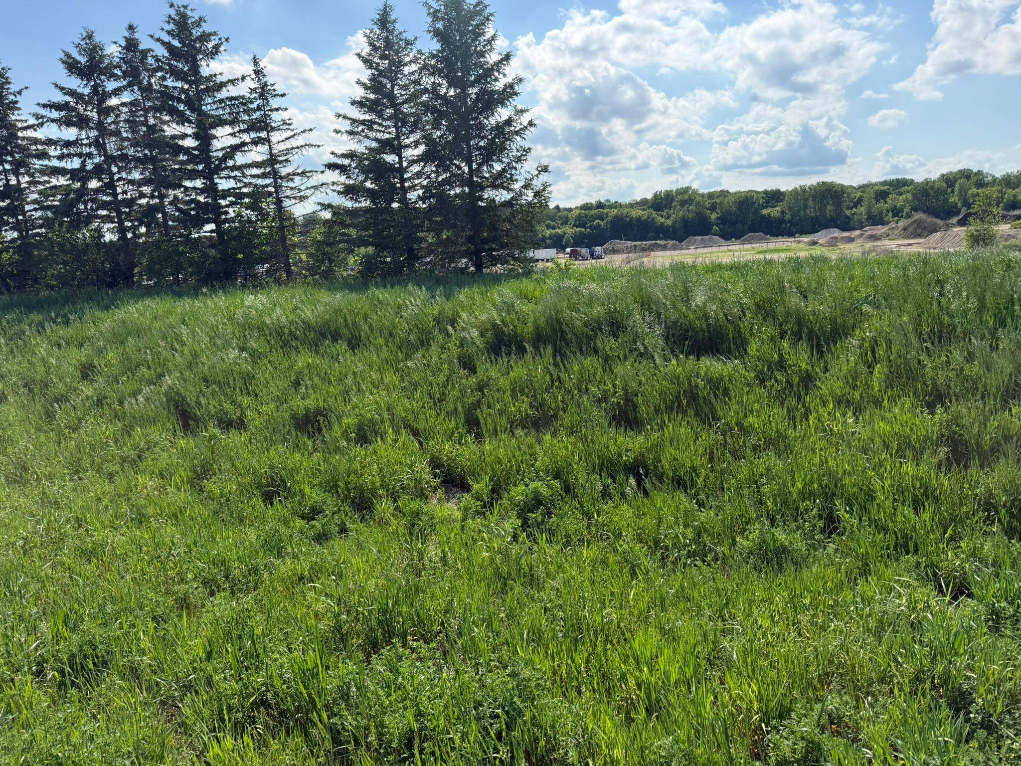 8292 Cabot AVE, Medford, MN 55049