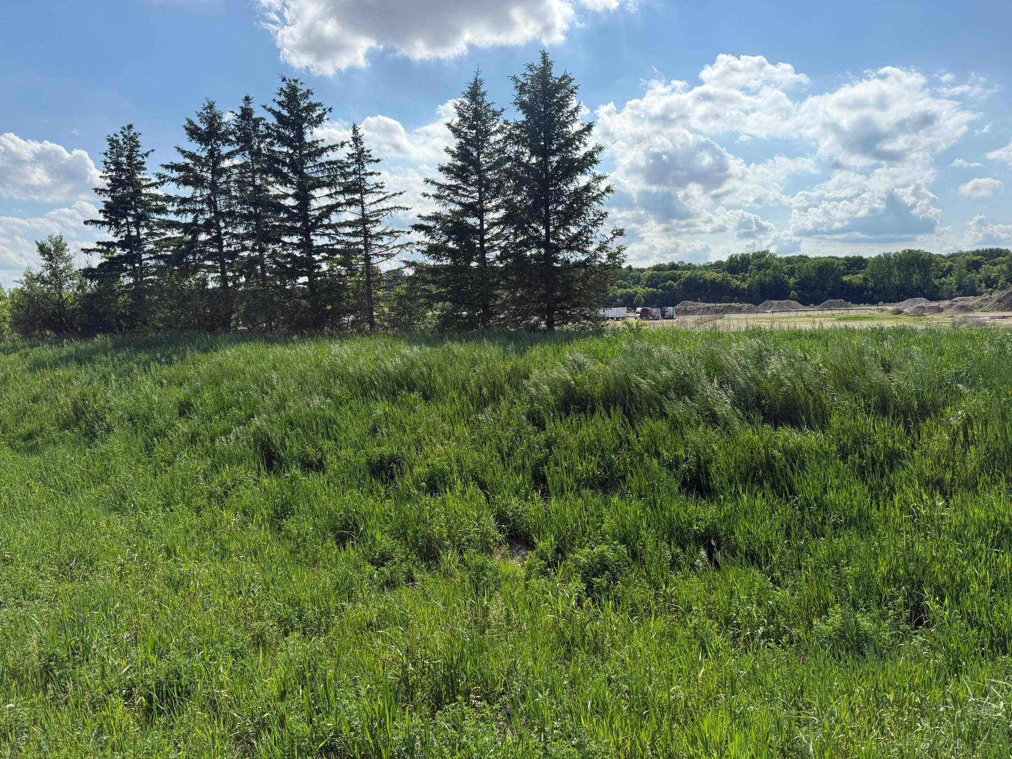 8292 Cabot AVE, Medford, MN 55049