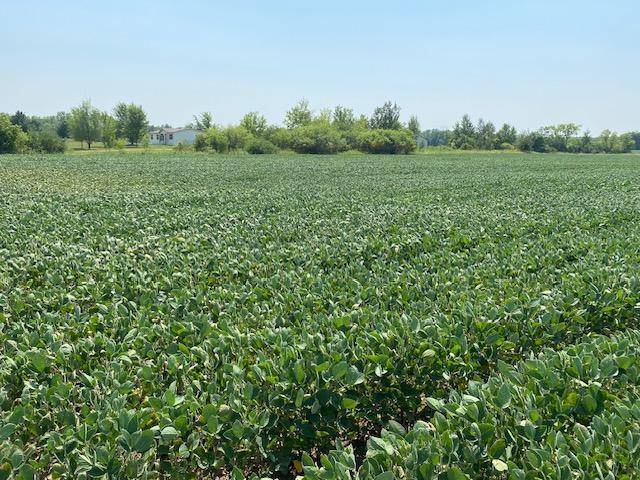 TBD 160th St., Foreston, MN 56330