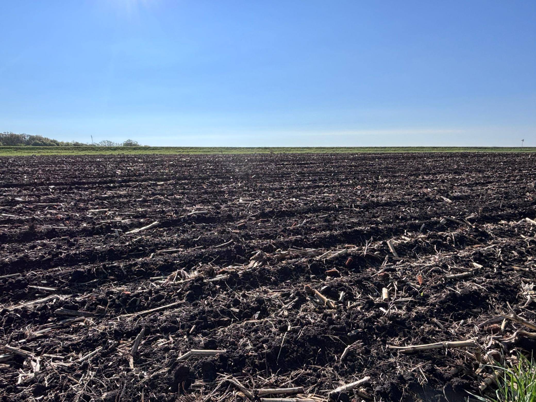 TBD Grandview Rd, Elbow Lake, MN 56531
