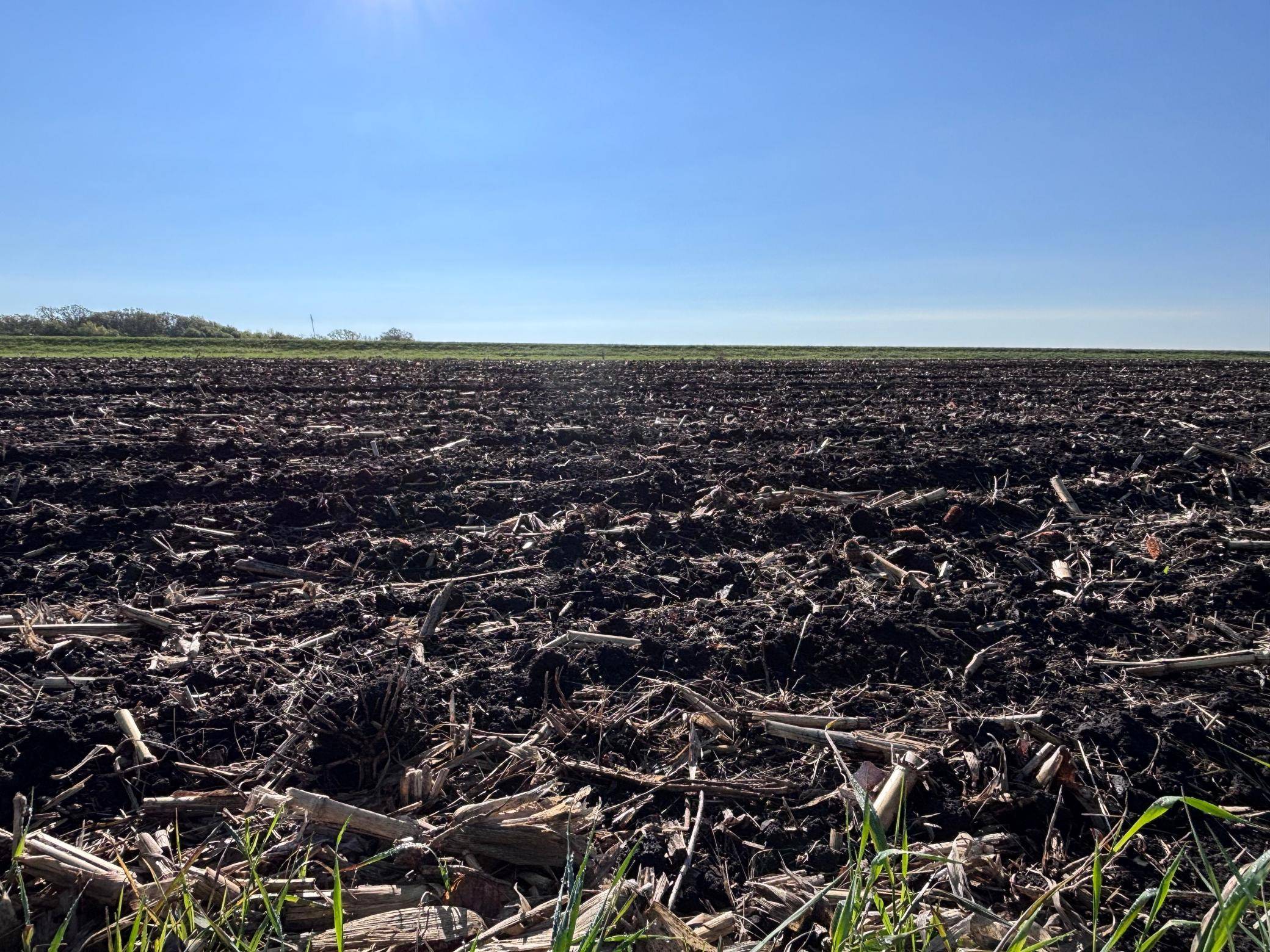 TBD Grandview Rd, Elbow Lake, MN 56531