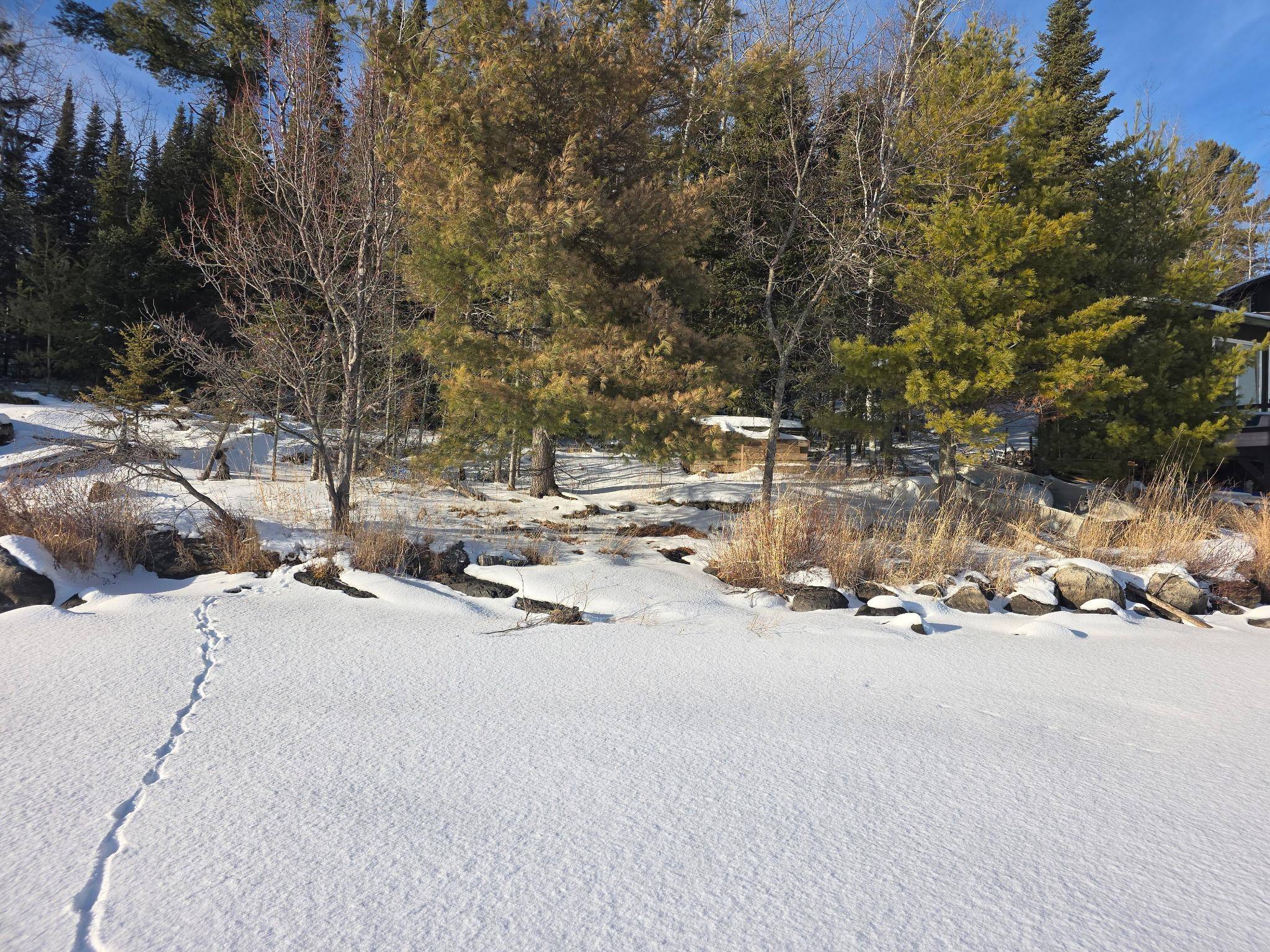 TBD Keyes Island, International Falls, MN 56649