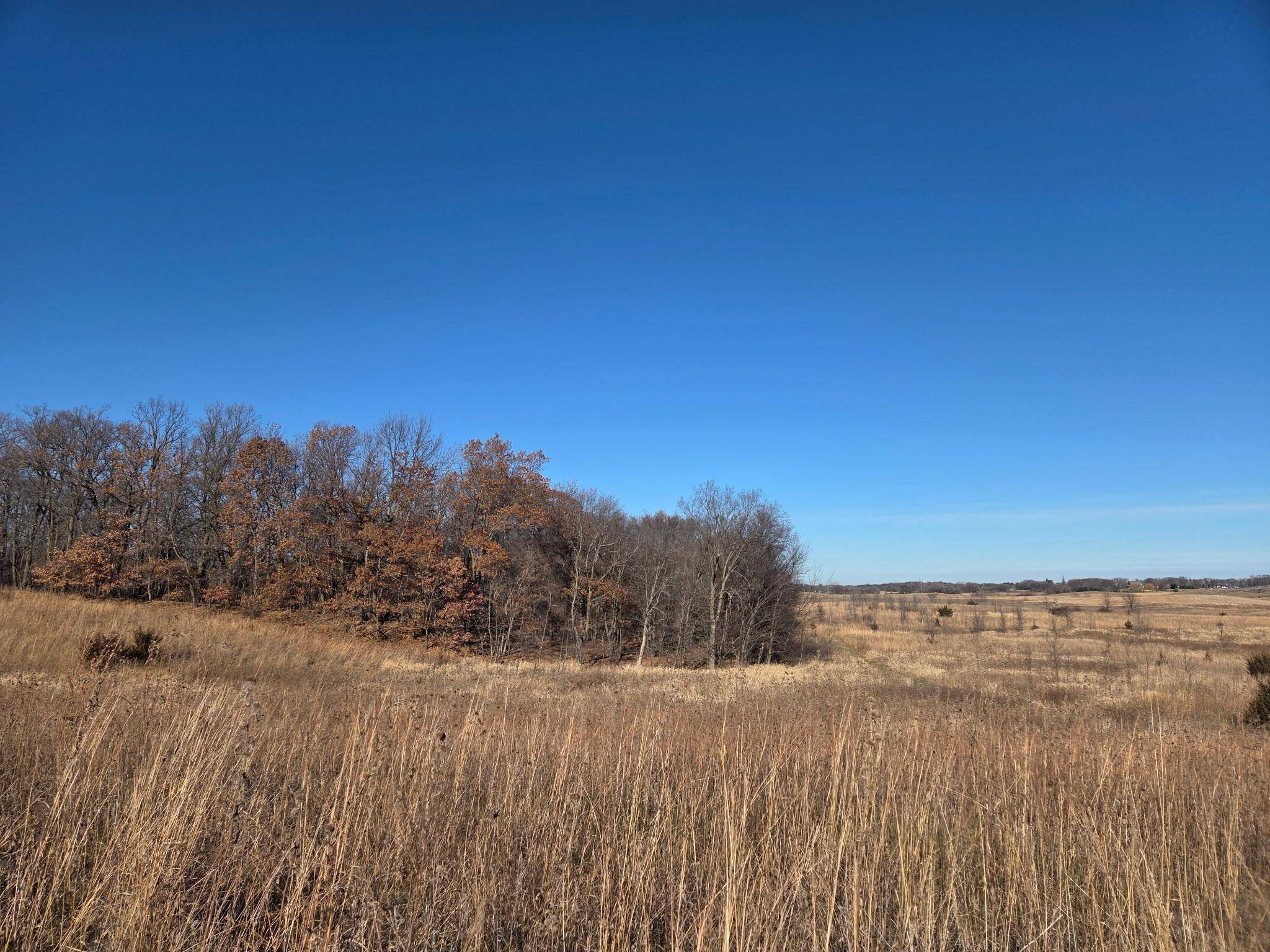 36999 141st Lane, Montgomery, MN 56069