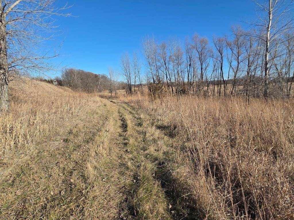 36999 141st Lane, Montgomery, MN 56069