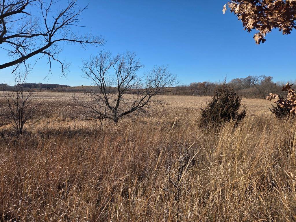 36999 141st Lane, Montgomery, MN 56069