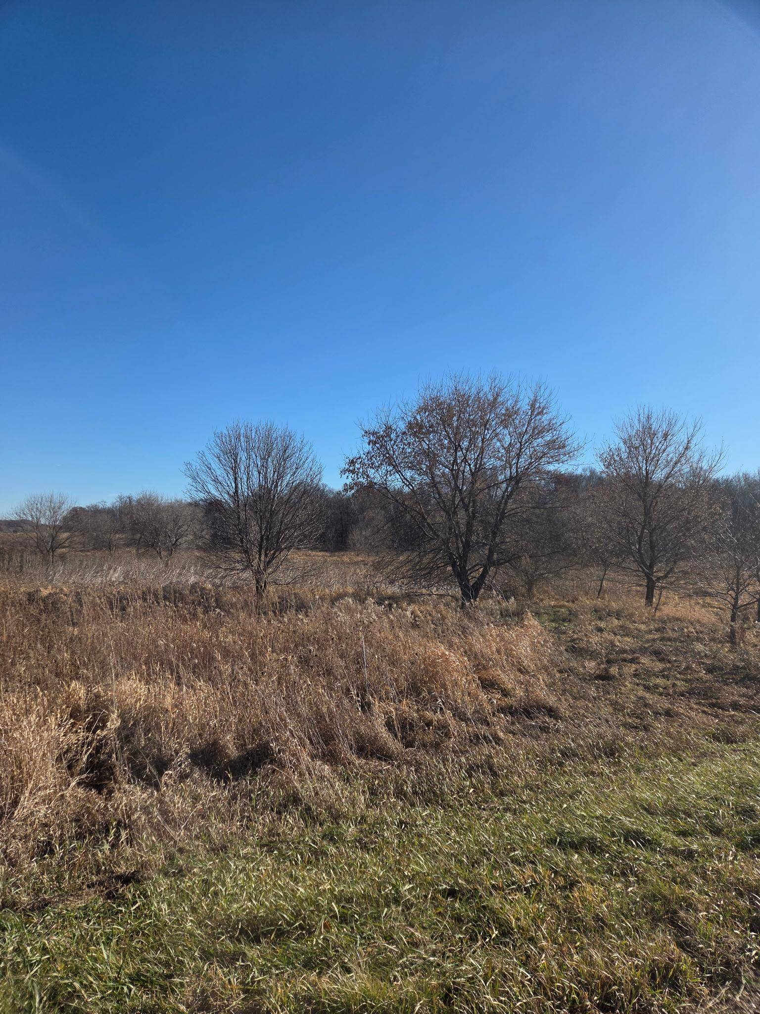 36999 141st Lane, Montgomery, MN 56069