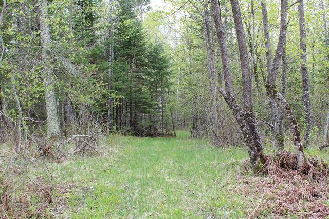 TBD COUNTY RD 19, Deer River, MN 56636