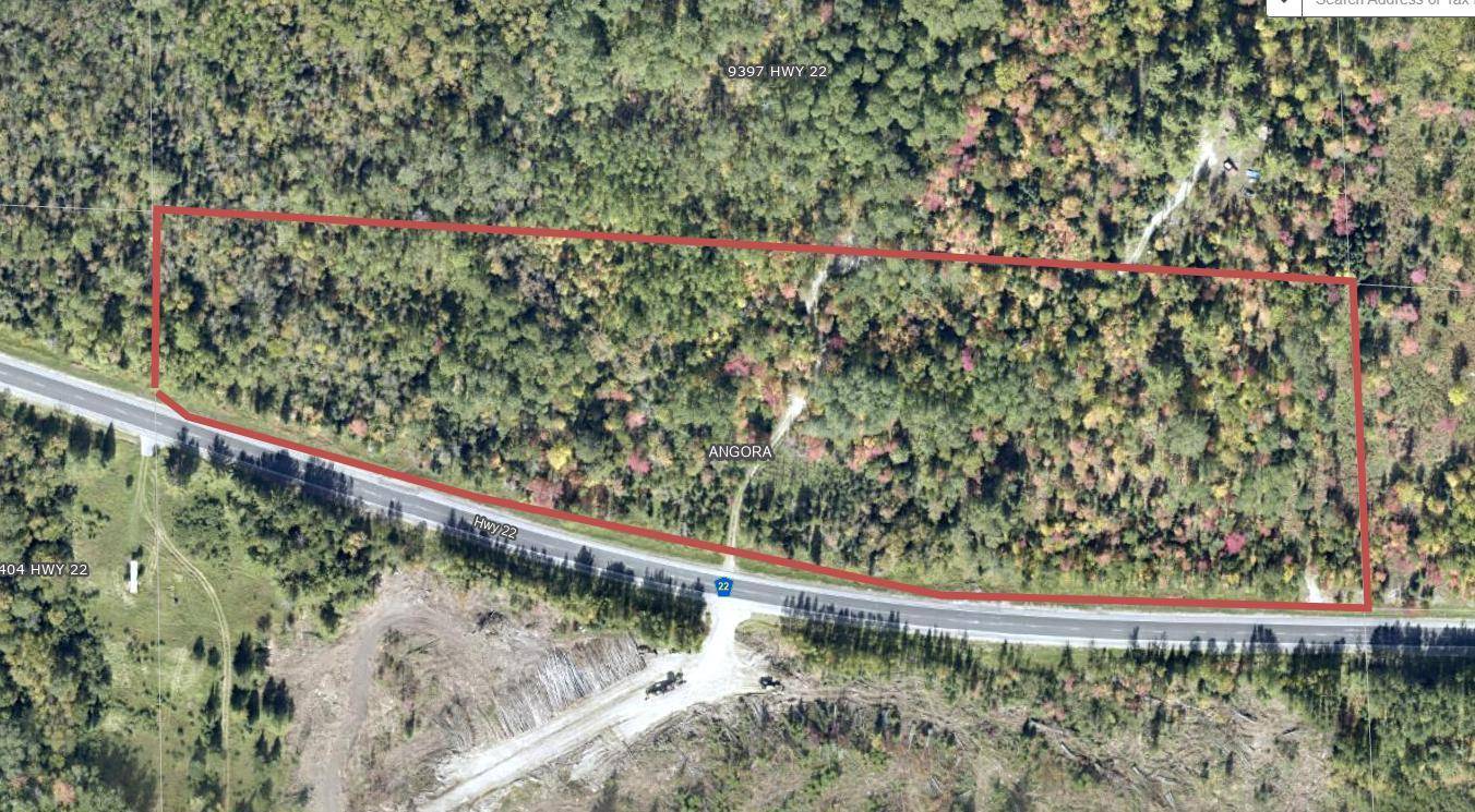 TBD Hwy. 22, Cook, MN 55703