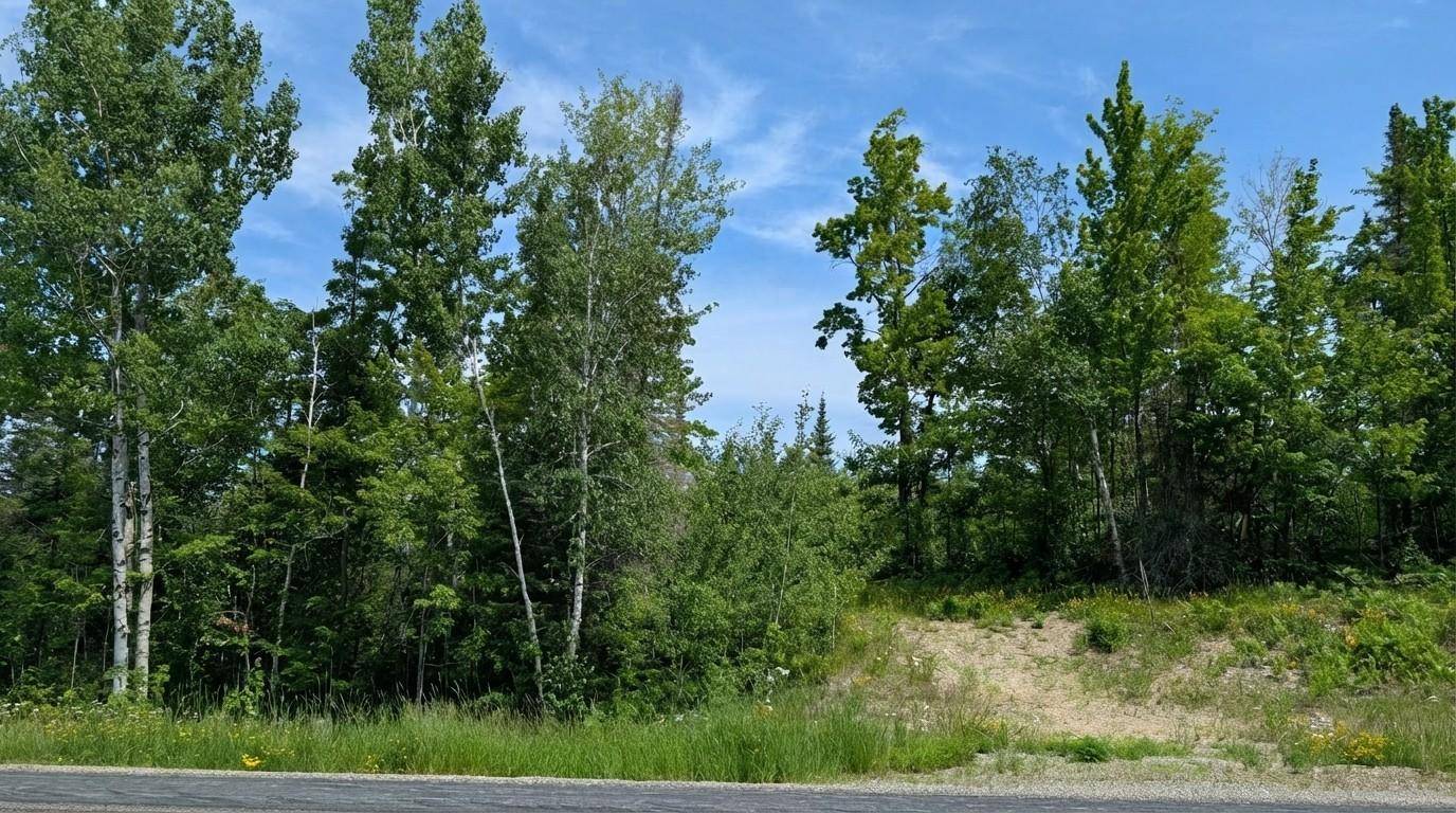 TBD Hwy. 22, Cook, MN 55703