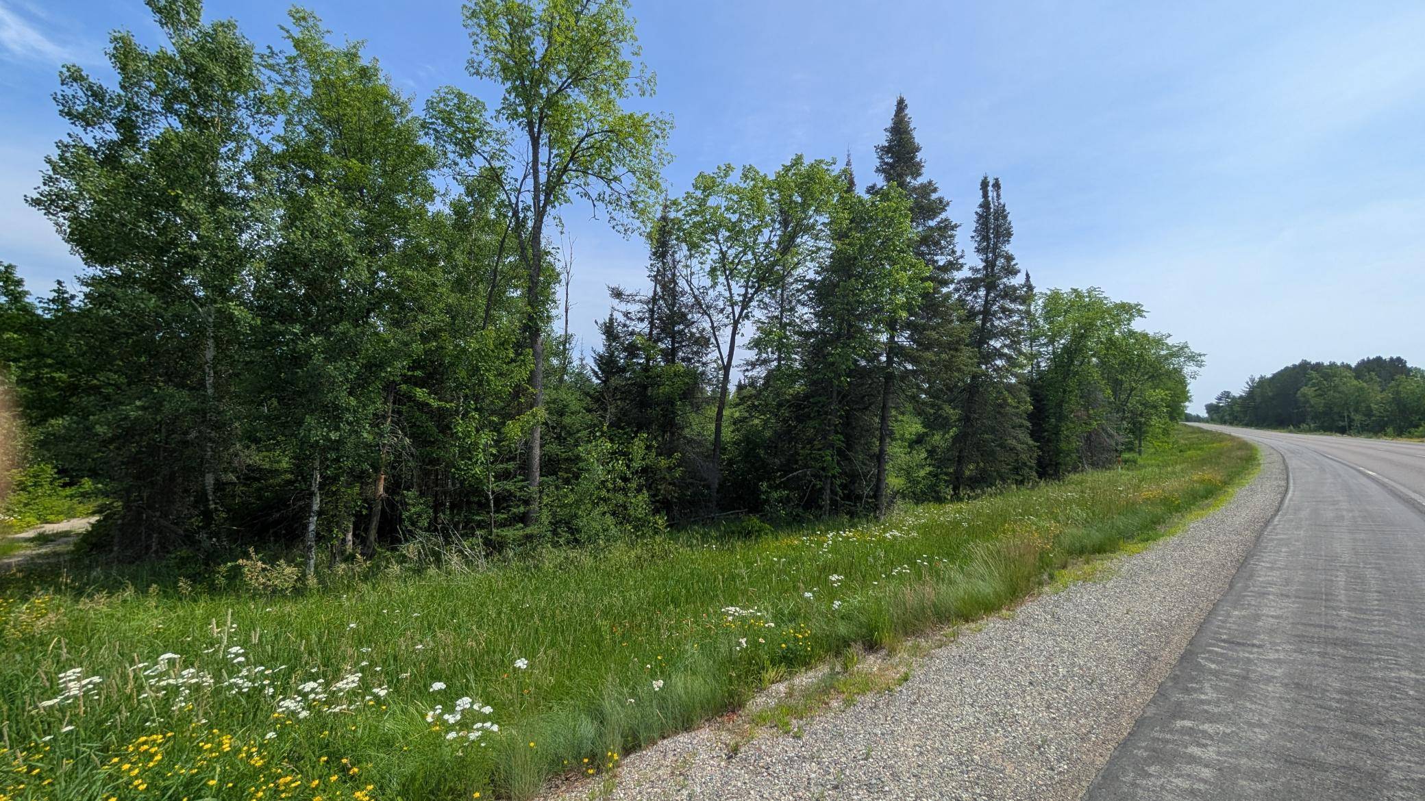 TBD Hwy. 22, Cook, MN 55703