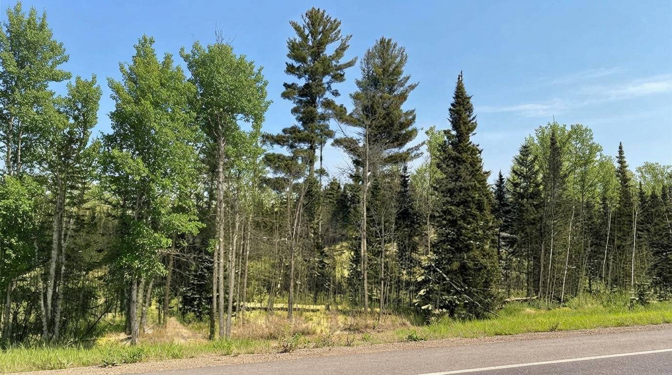 TBD Hwy. 22, Cook, MN 55703