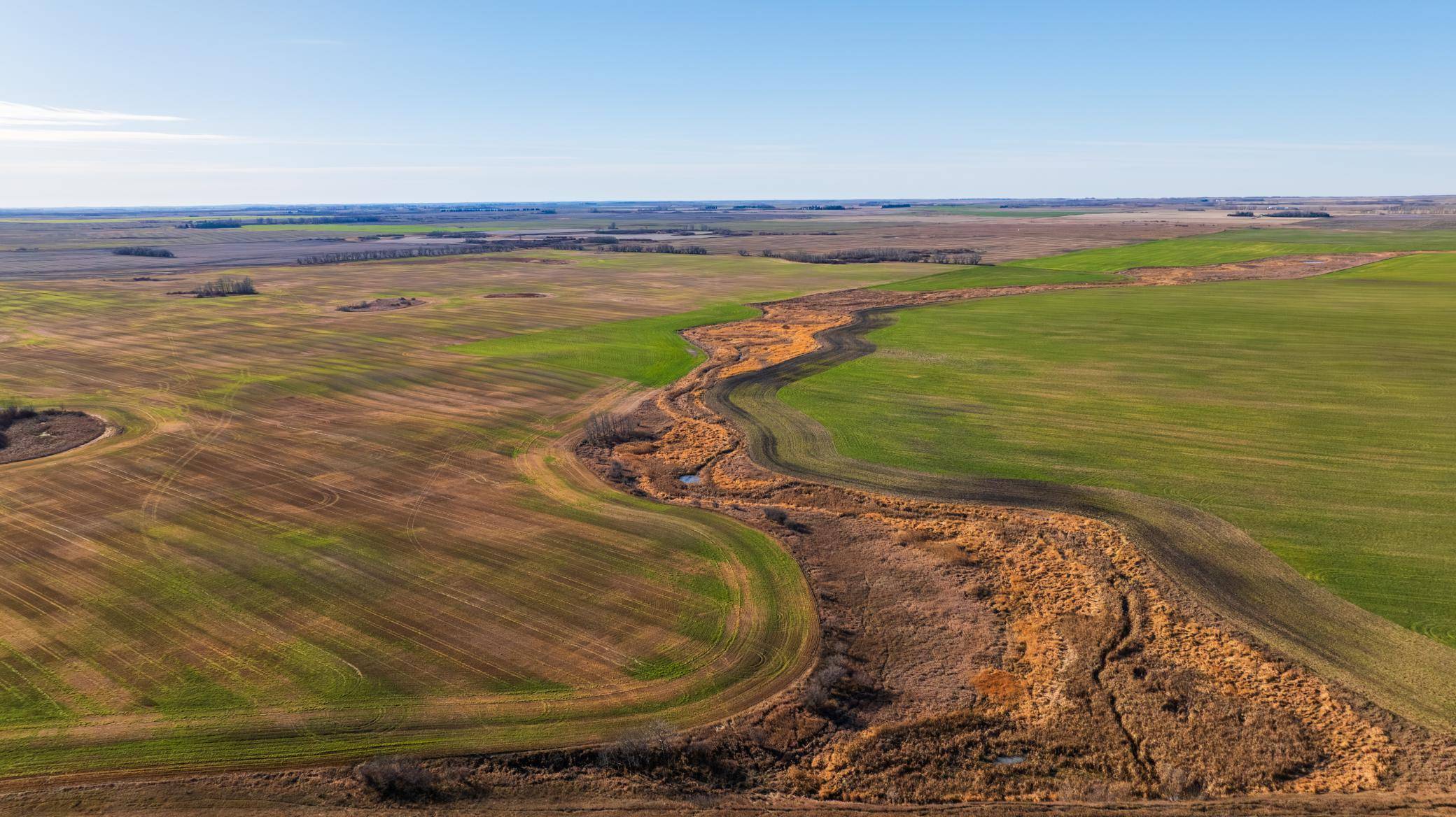 TBD 95 St NE Parcel 1, Rolla, ND 58367