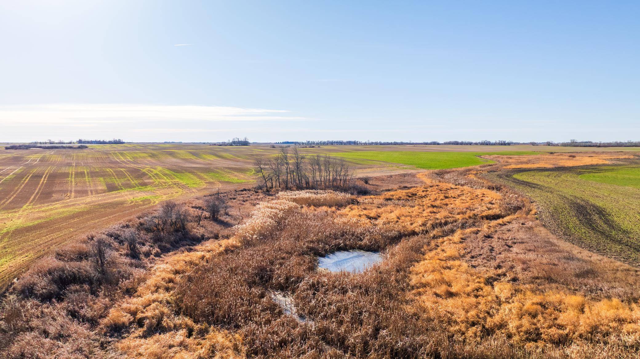 TBD 95 St NE Parcel 1, Rolla, ND 58367