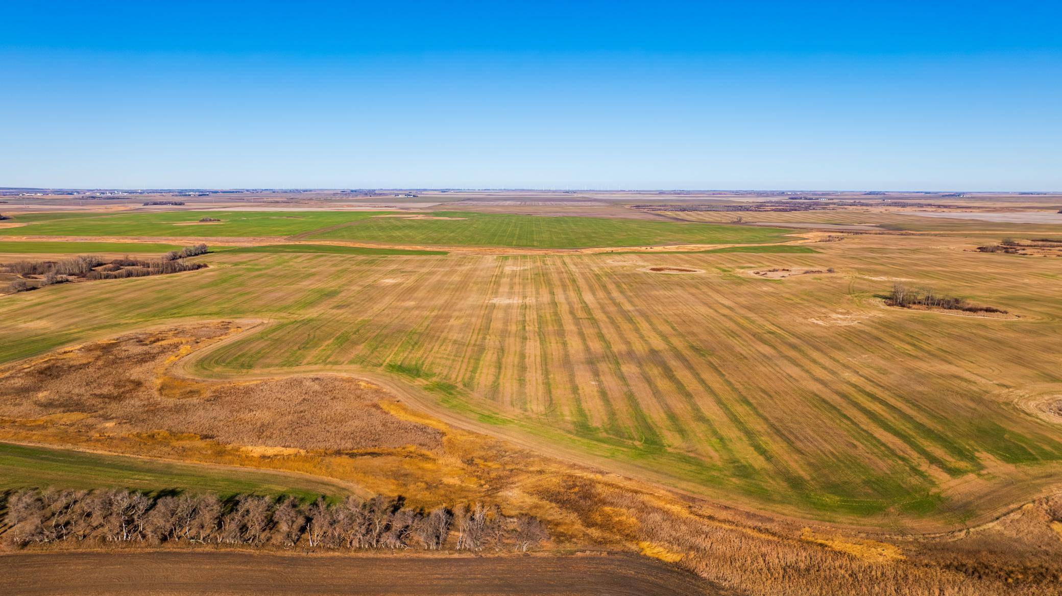 TBD 95 St NE Parcel 2, Rolla, ND 58367