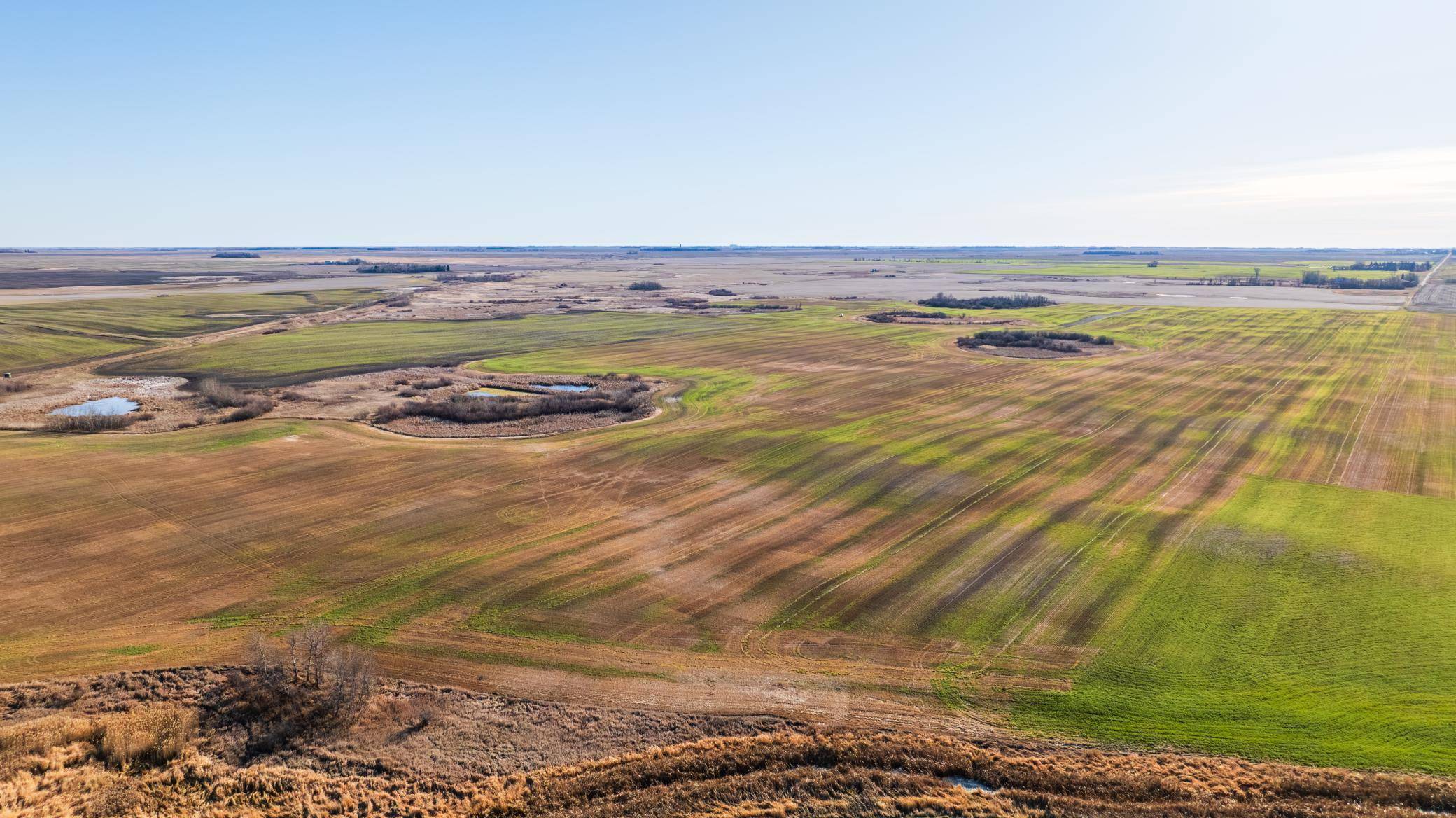 TBD 95 St NE Parcel 3, Rolla, ND 58367