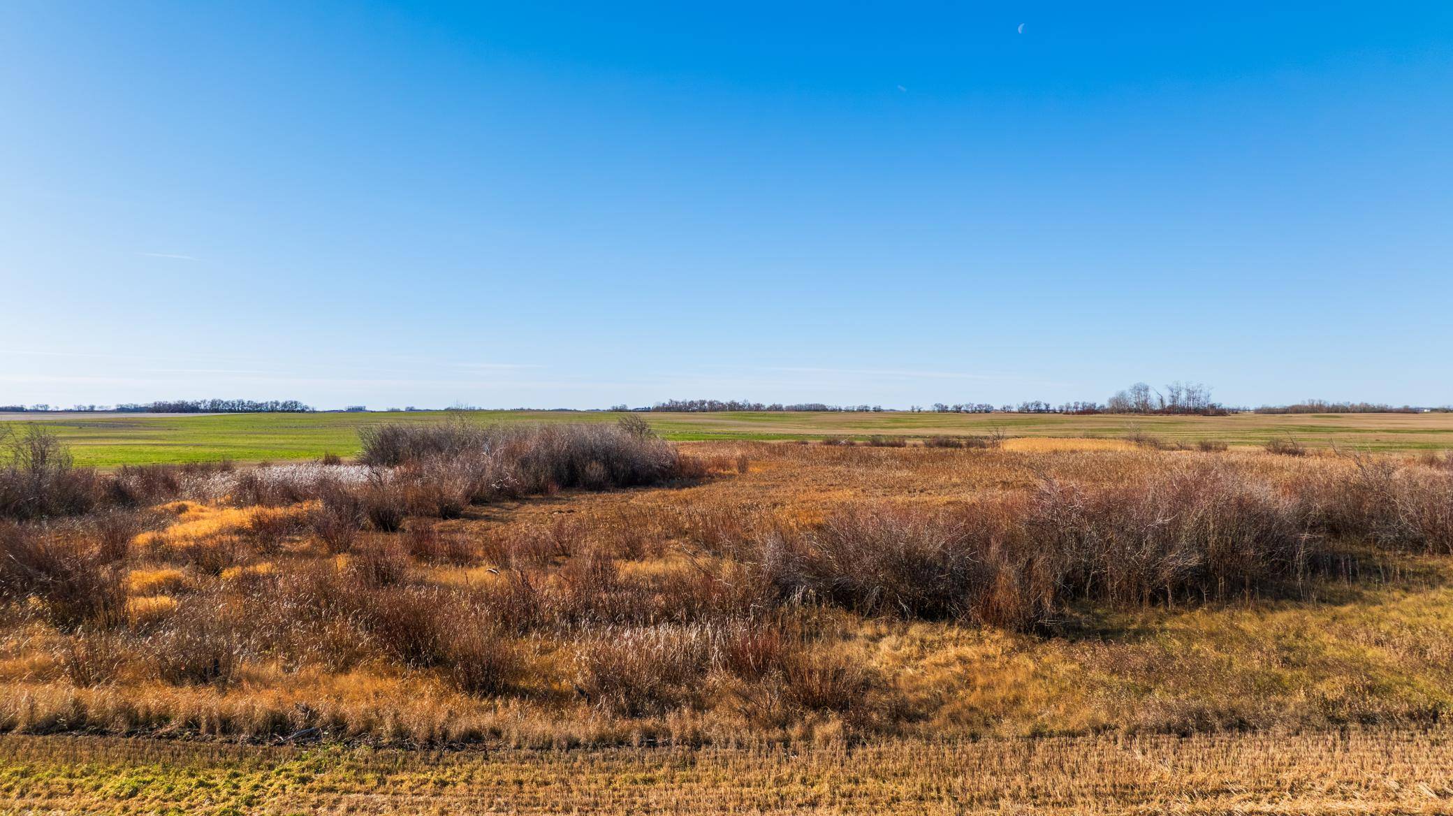TBD 95 St NE Parcel 3, Rolla, ND 58367