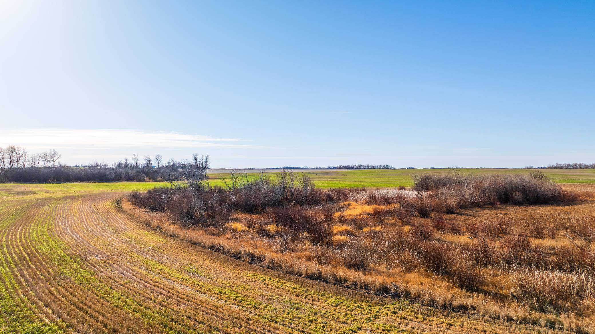 TBD 95 St NE Parcel 3, Rolla, ND 58367