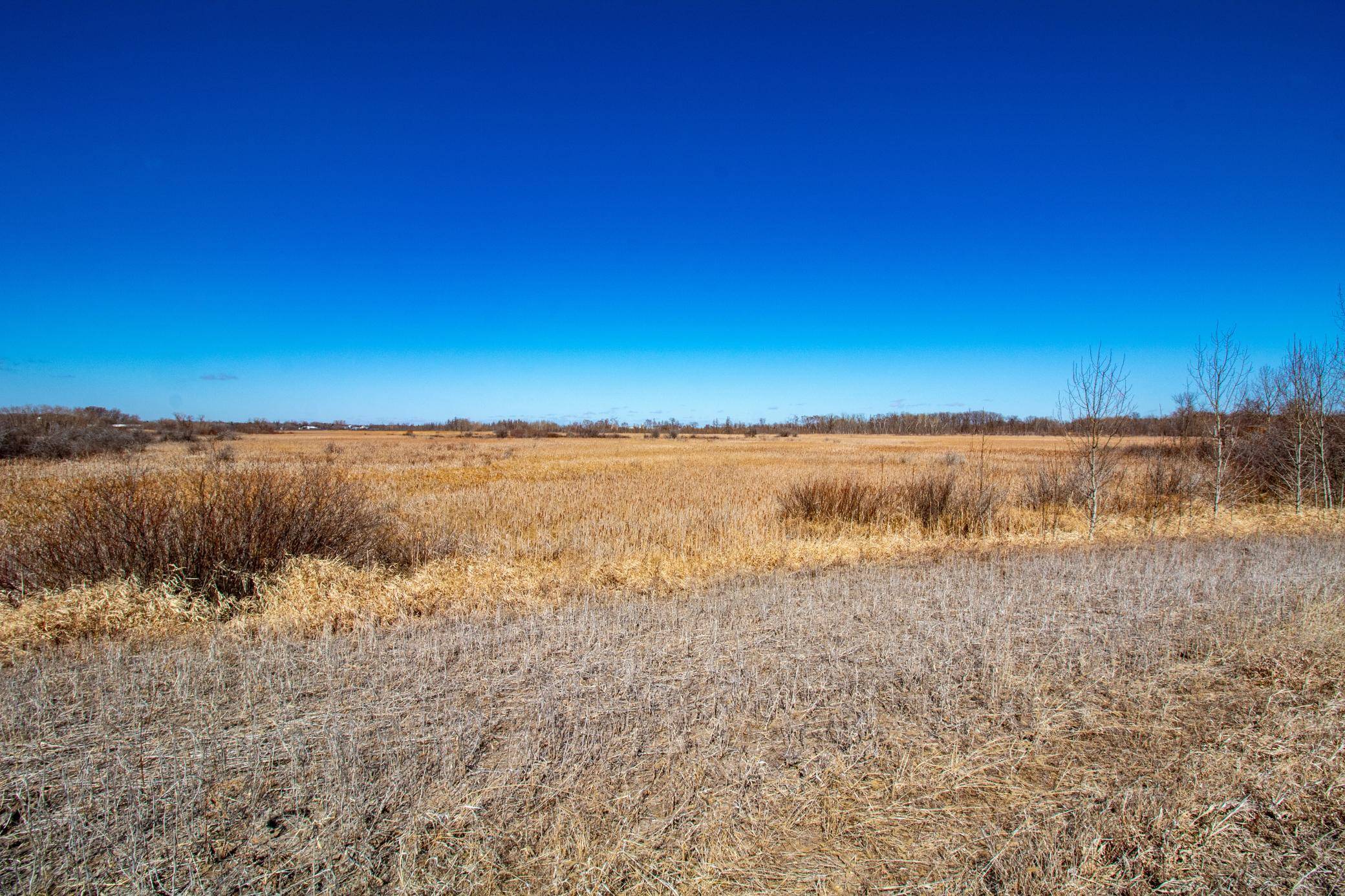 37675 395th ST, Dent, MN 56528