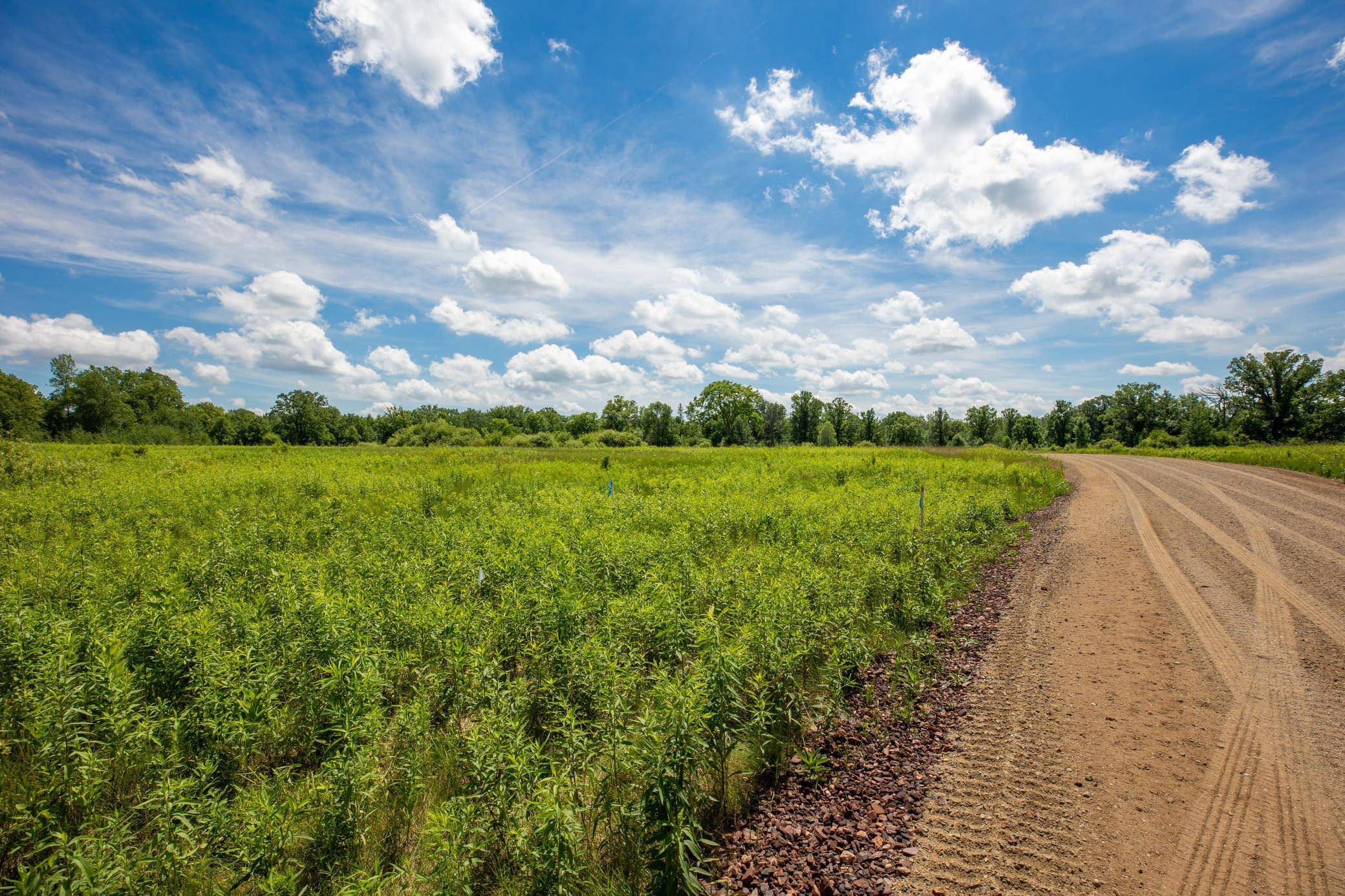 Tract B County Road 30, Aitkin, MN 56431