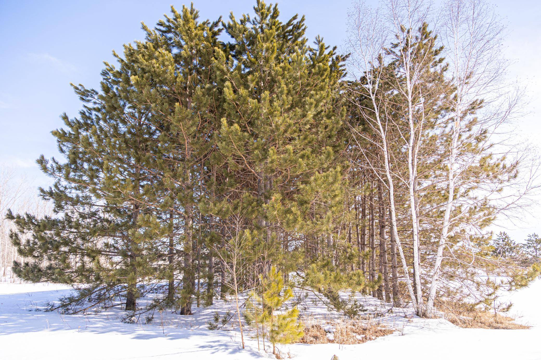 000 Mid-River RD, Pine City, MN 55063