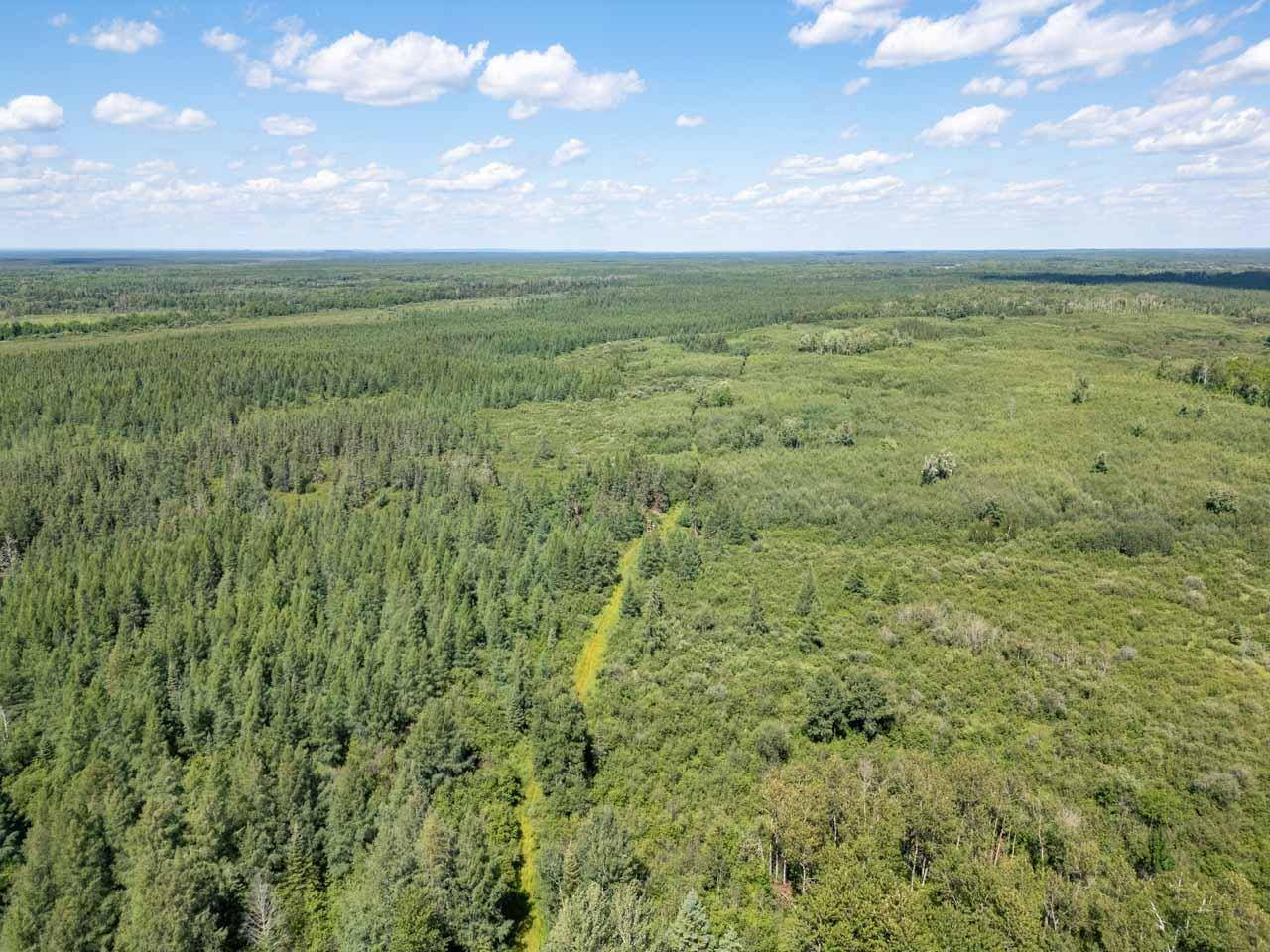 tbd road access, Cotton, MN 55724
