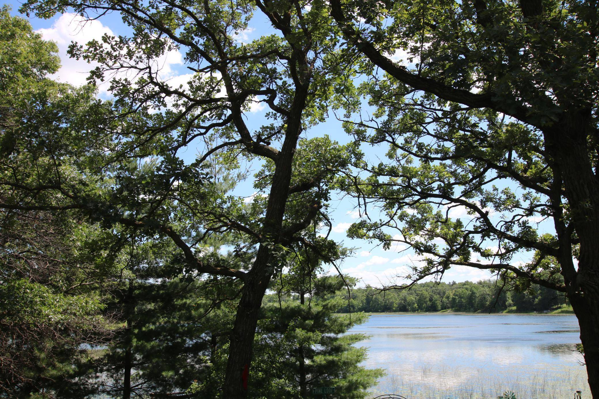 39817 Osage DR, Browerville, MN 56438