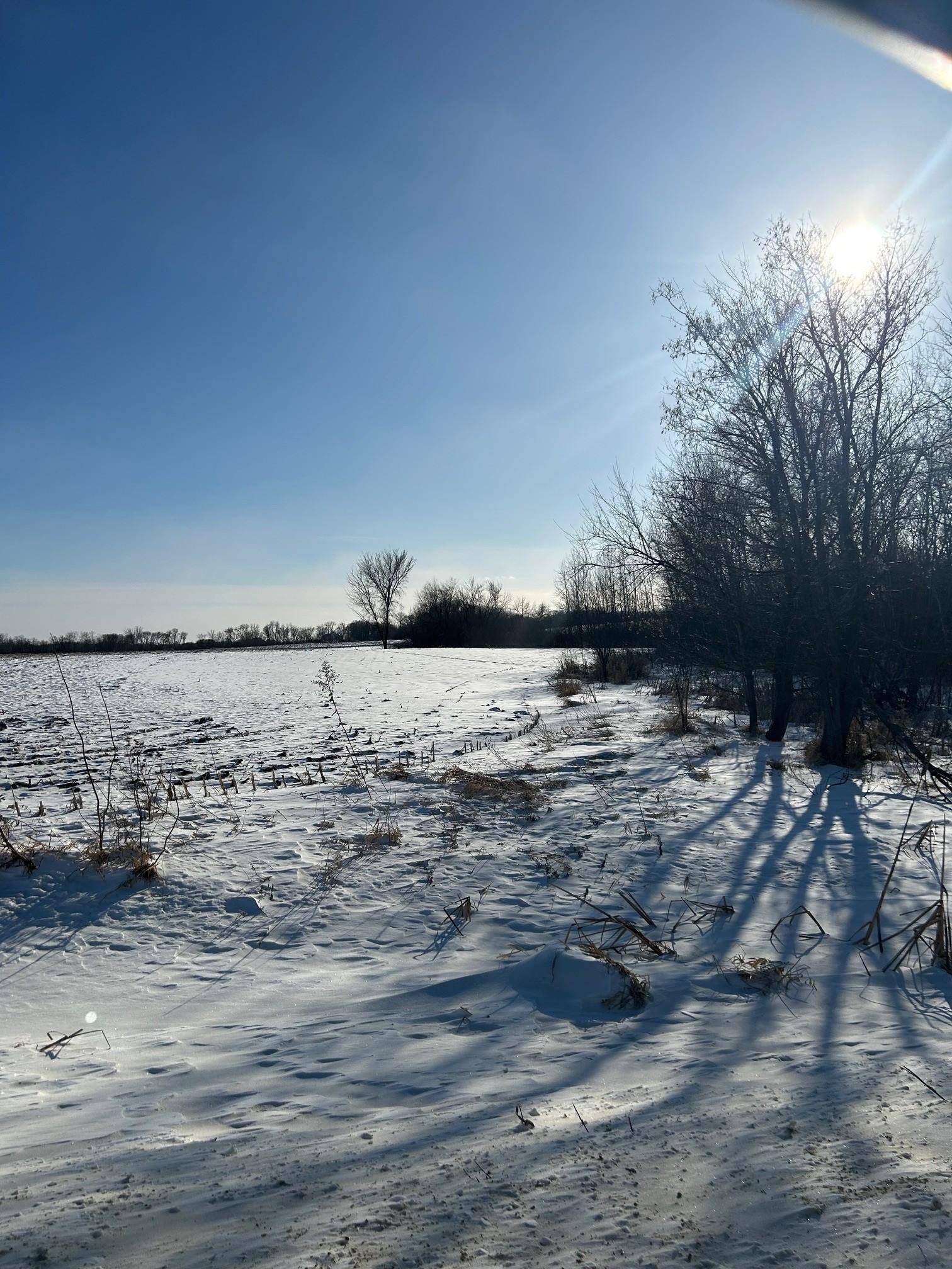 XXXX 285th (180 Acres) ST, Northfield, MN 55057