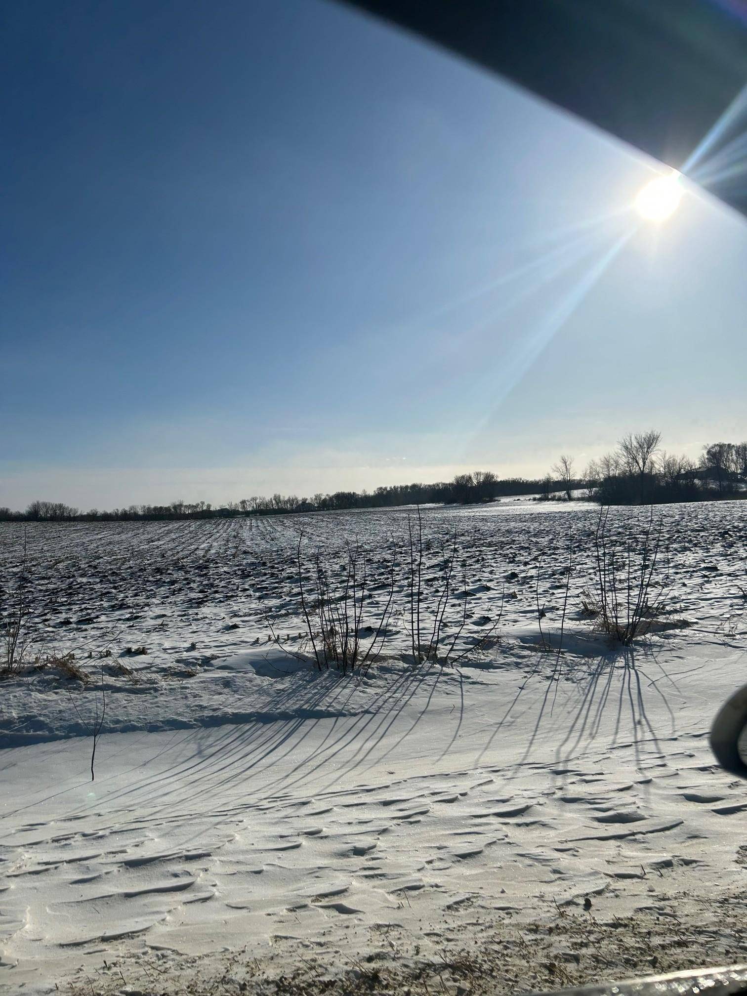 XXXX 285th (180 Acres) ST, Northfield, MN 55057
