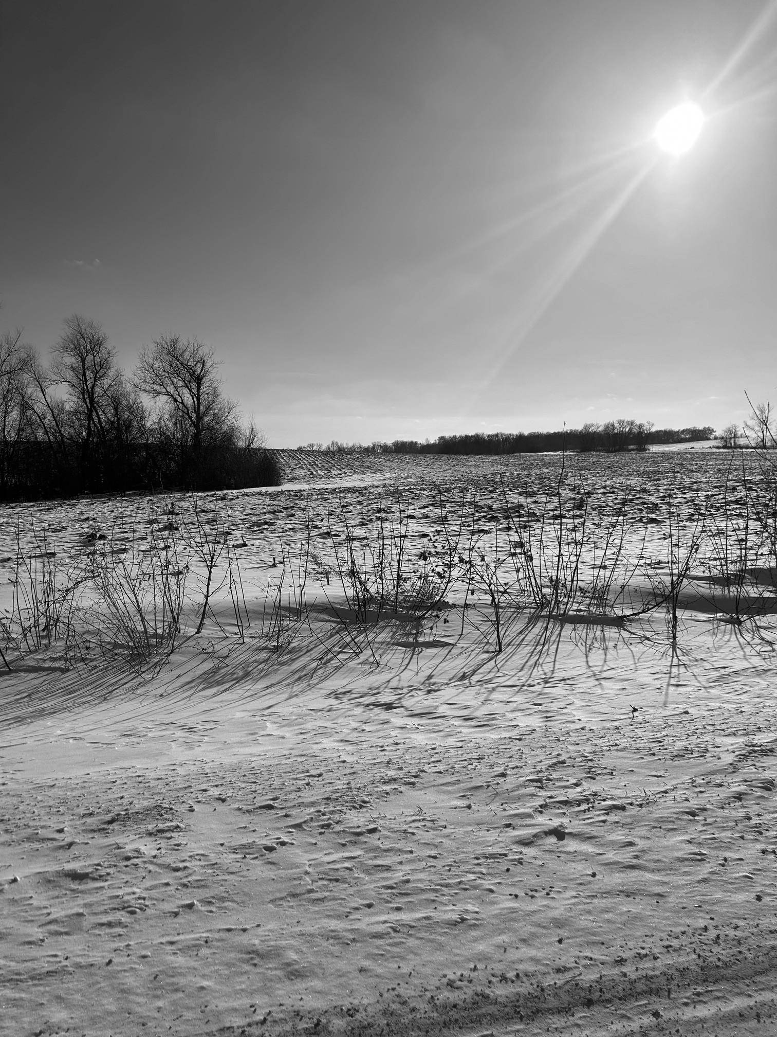 XXXX 285th (180 Acres) ST, Northfield, MN 55057