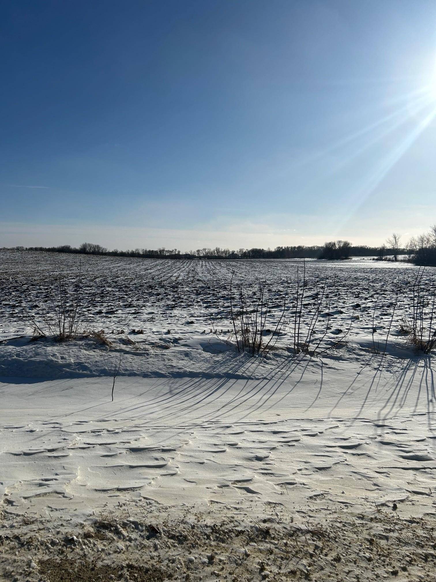 XXXX 285th (180 Acres) ST, Northfield, MN 55057