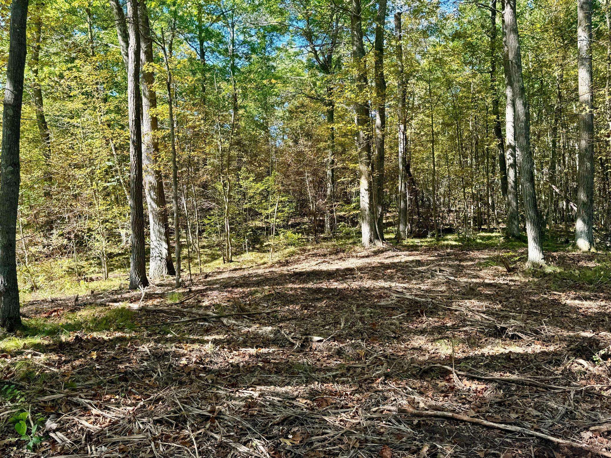 TBD4 Winter Creek CT, Nisswa, MN 56468