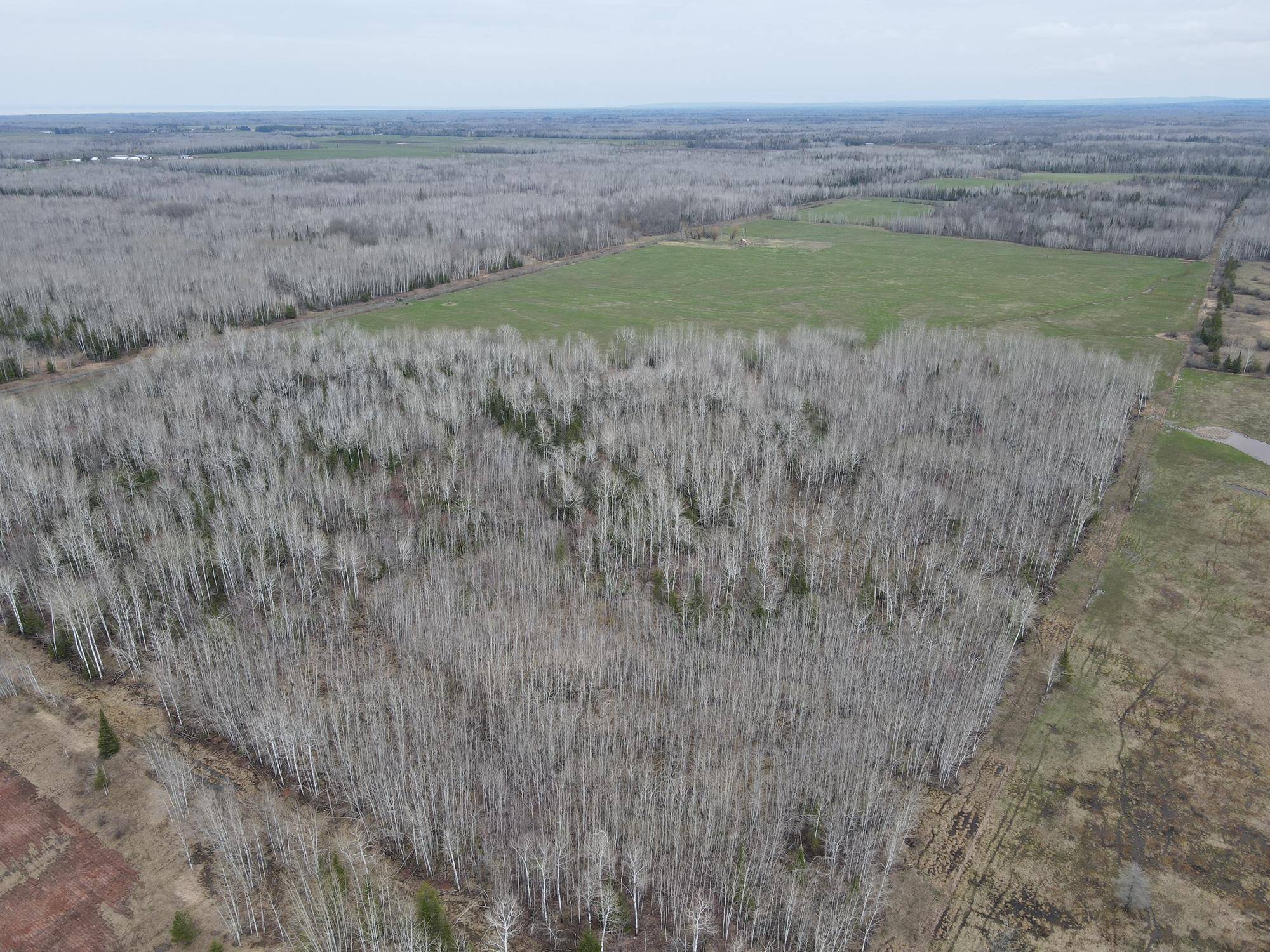 11TBD Gulley RD, Maple, WI 54854
