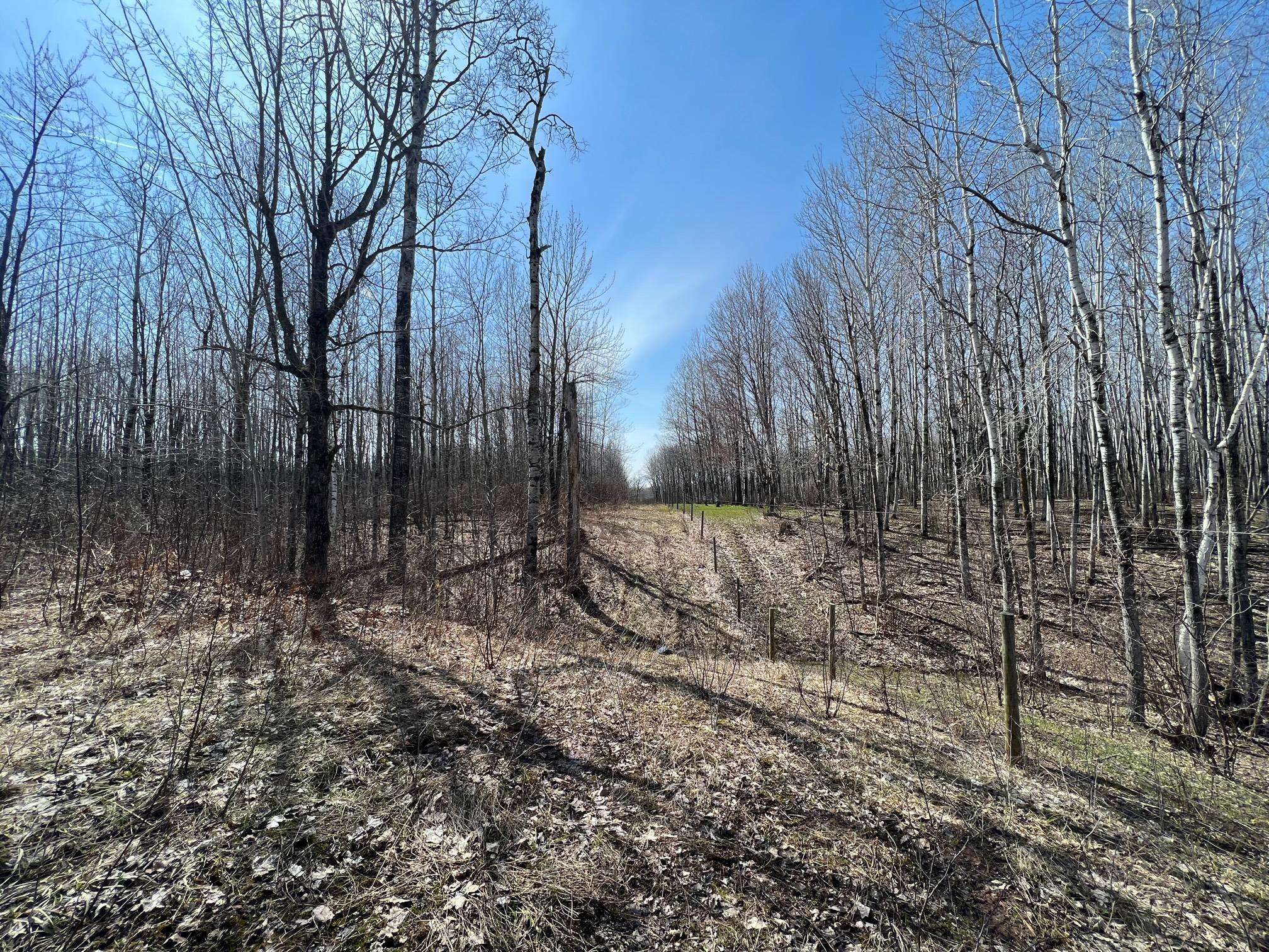 TBD Gulley RD, Maple, WI 54854