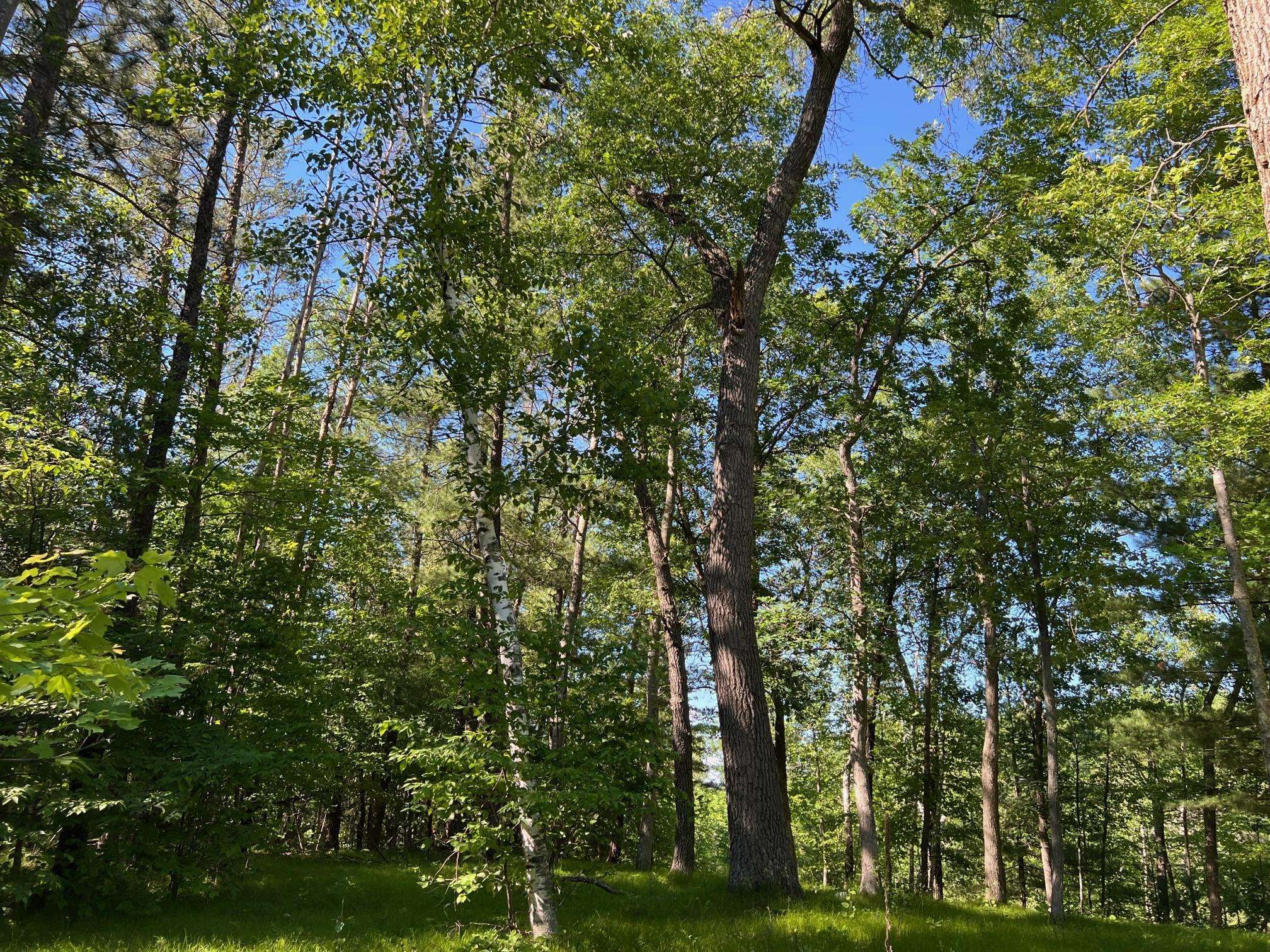 73XX Willow ST E, Webster, WI 54893