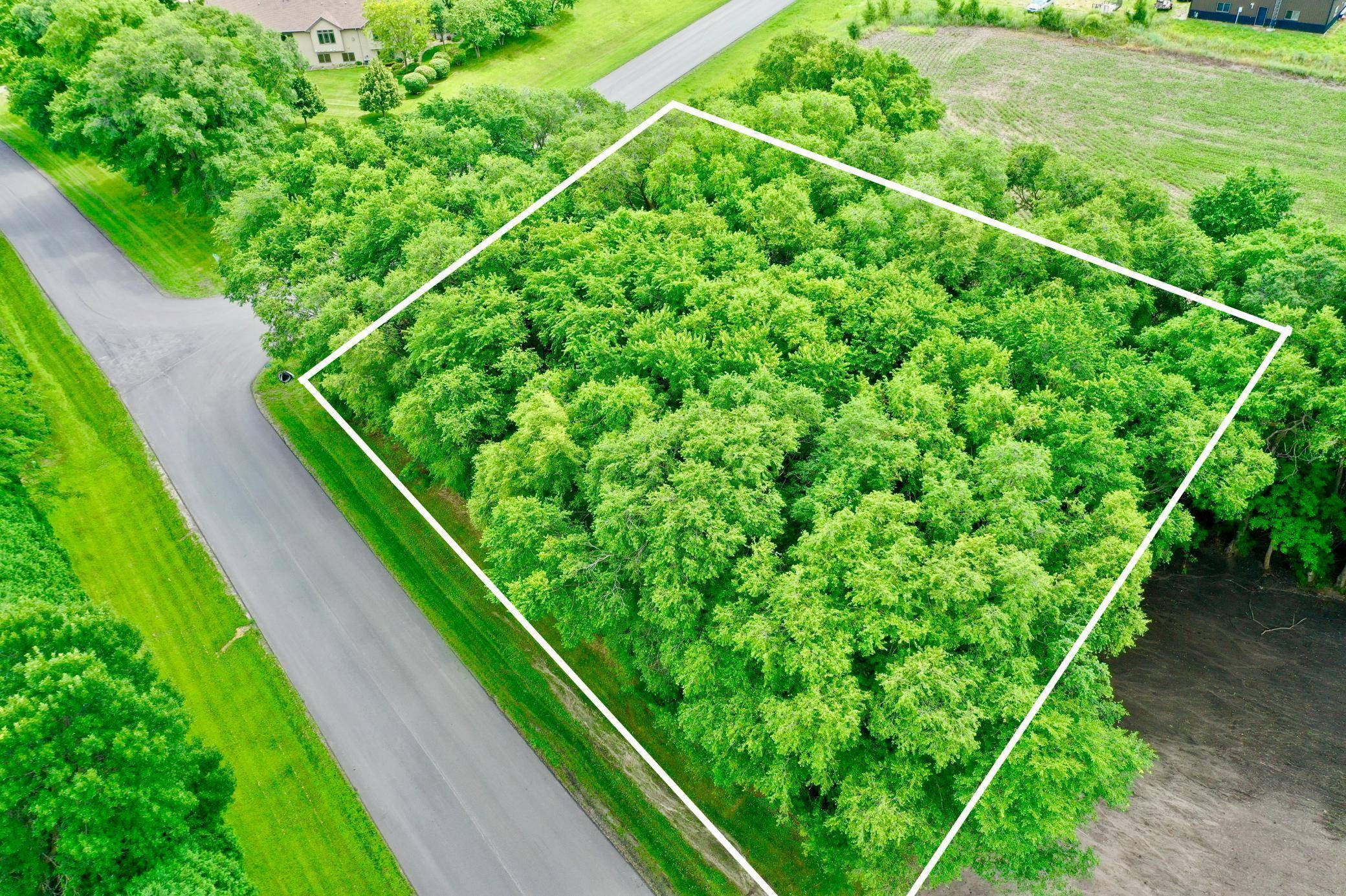 TBD 161st AVE NE, New London, MN 56273