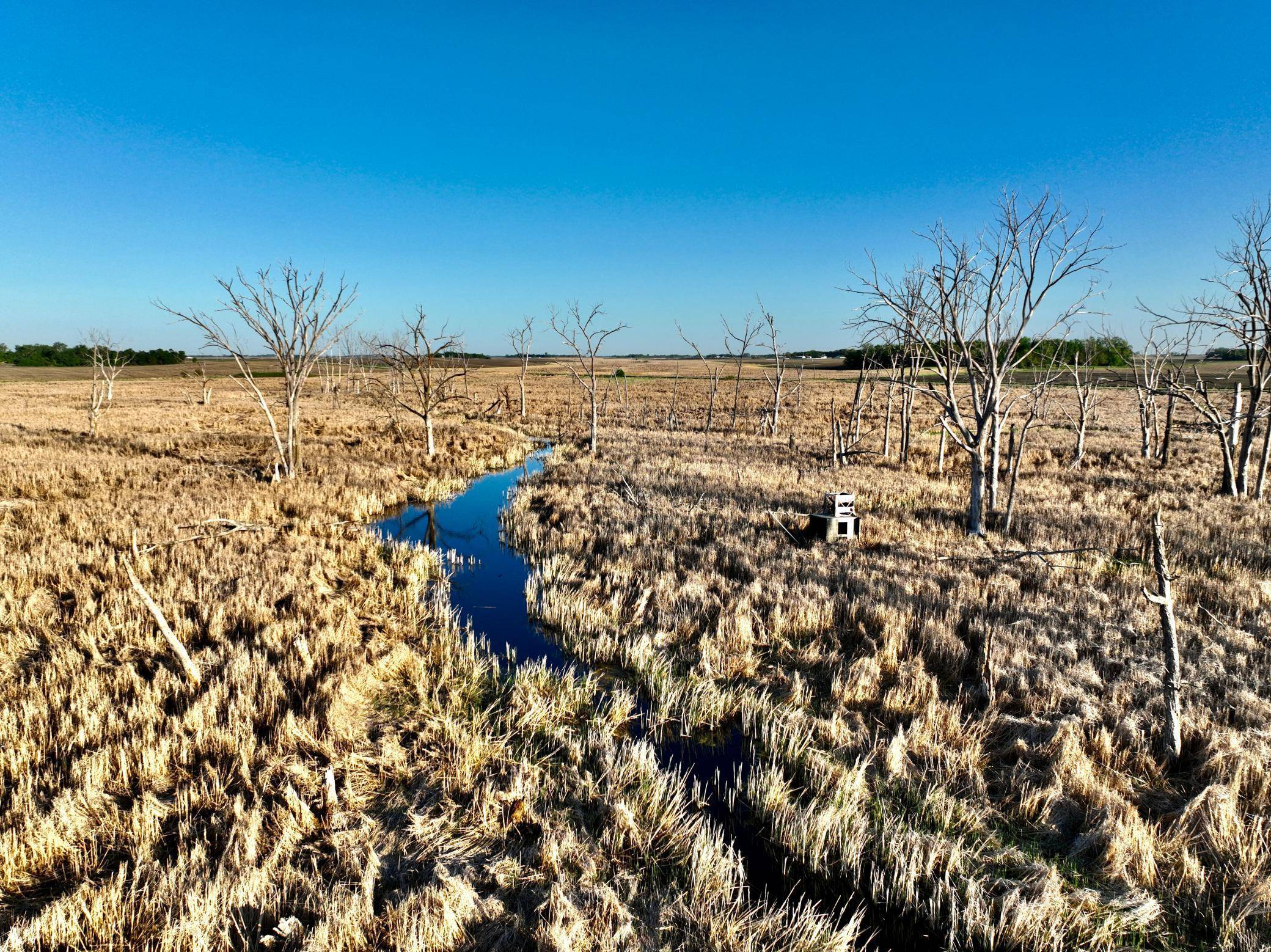 TBD County Highway 14, Madison, MN 56256