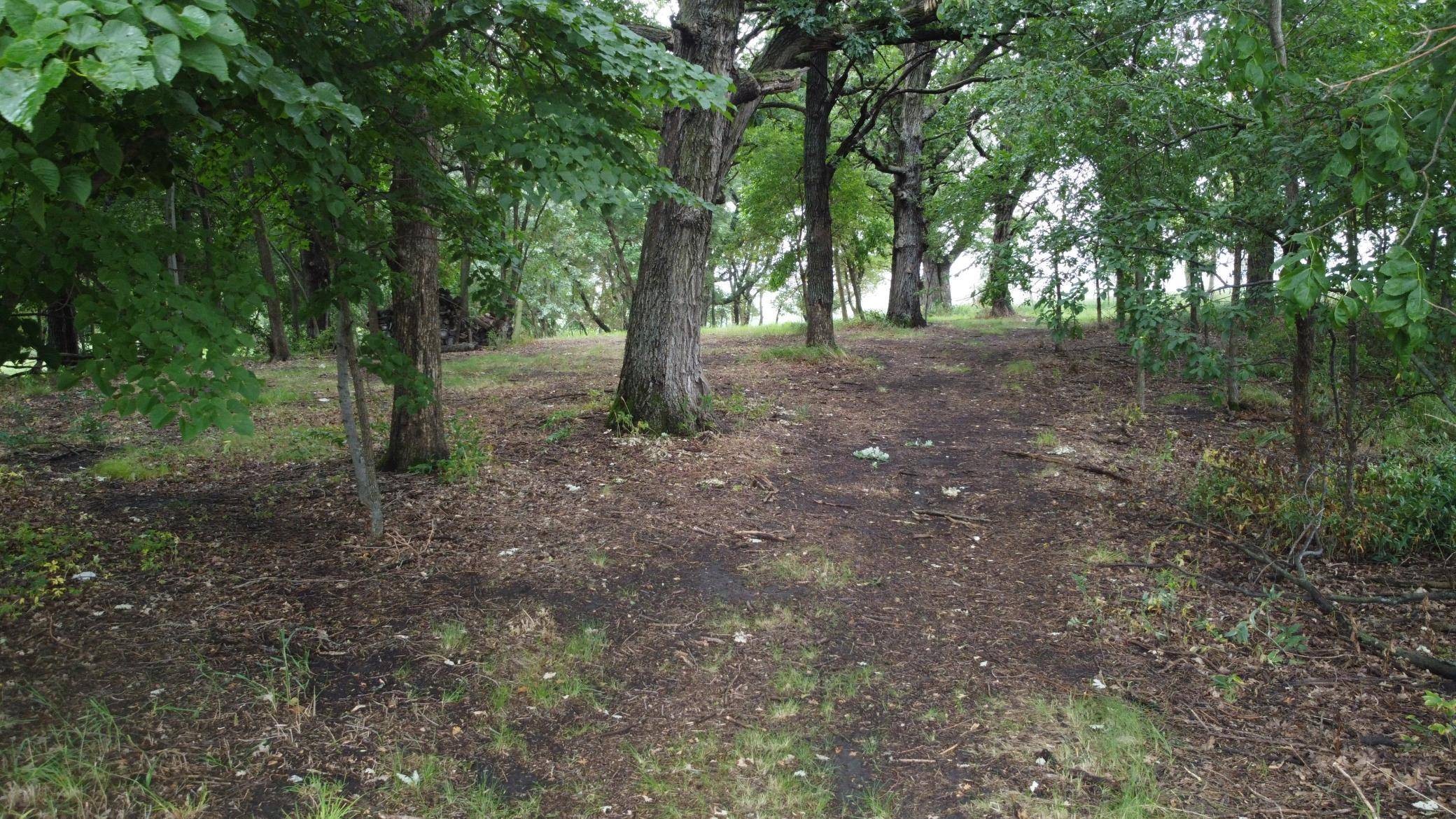 Lots 1 & 2 Mary LN NW, Brandon, MN 56315