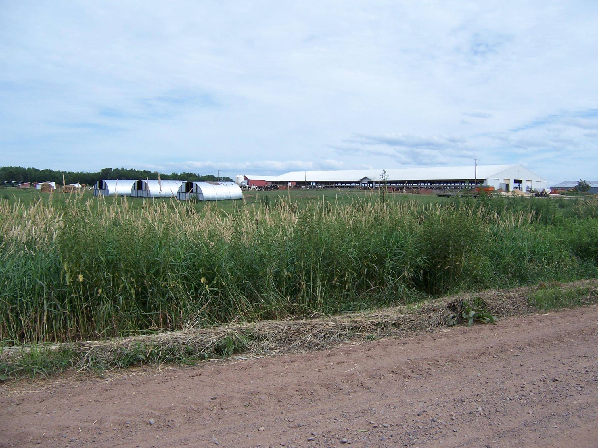 54479 Fairfield AVE, Rush City, MN 55069