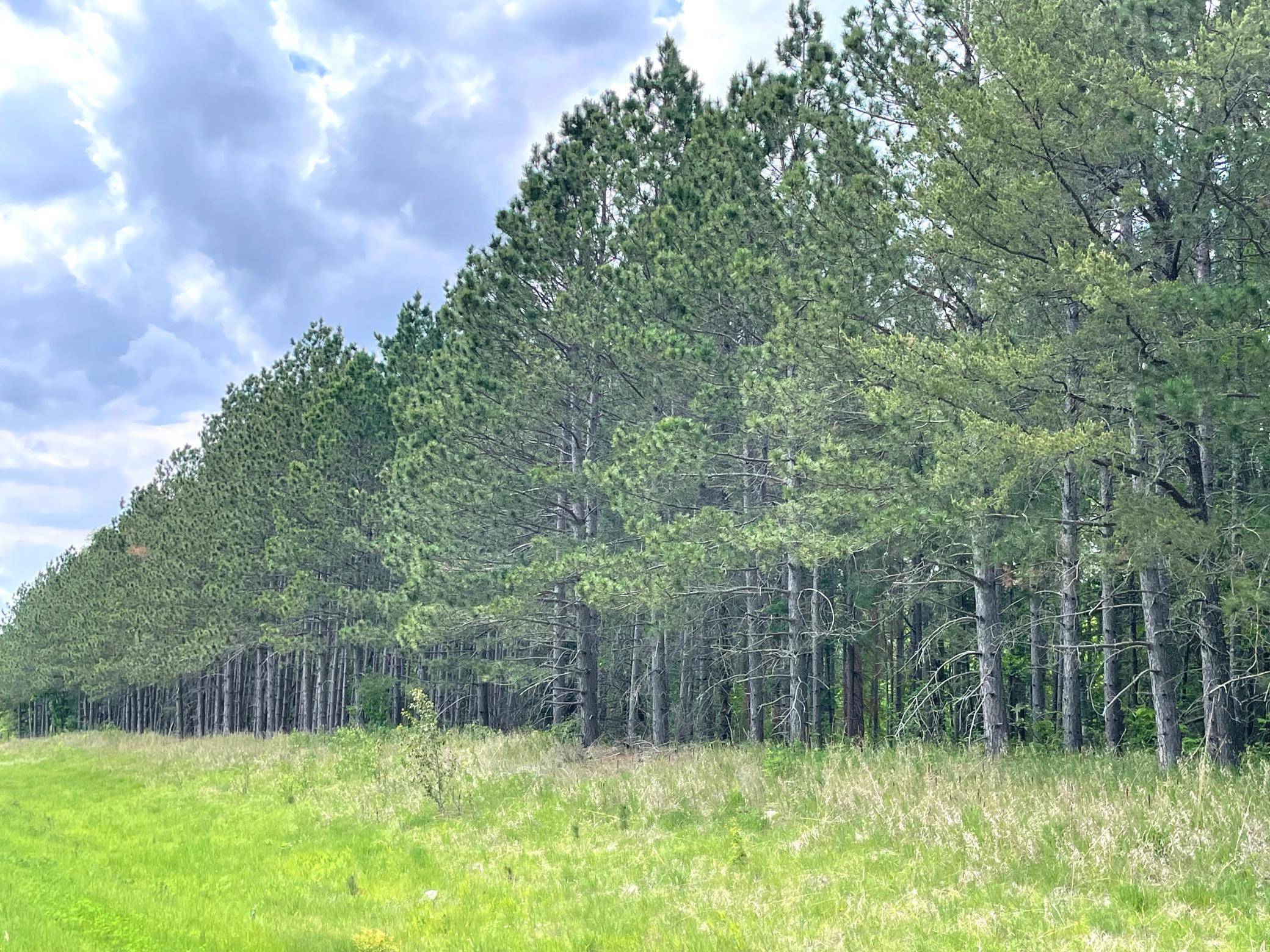 TBD N Plantangenet RD SE, Bemidji, MN 56601