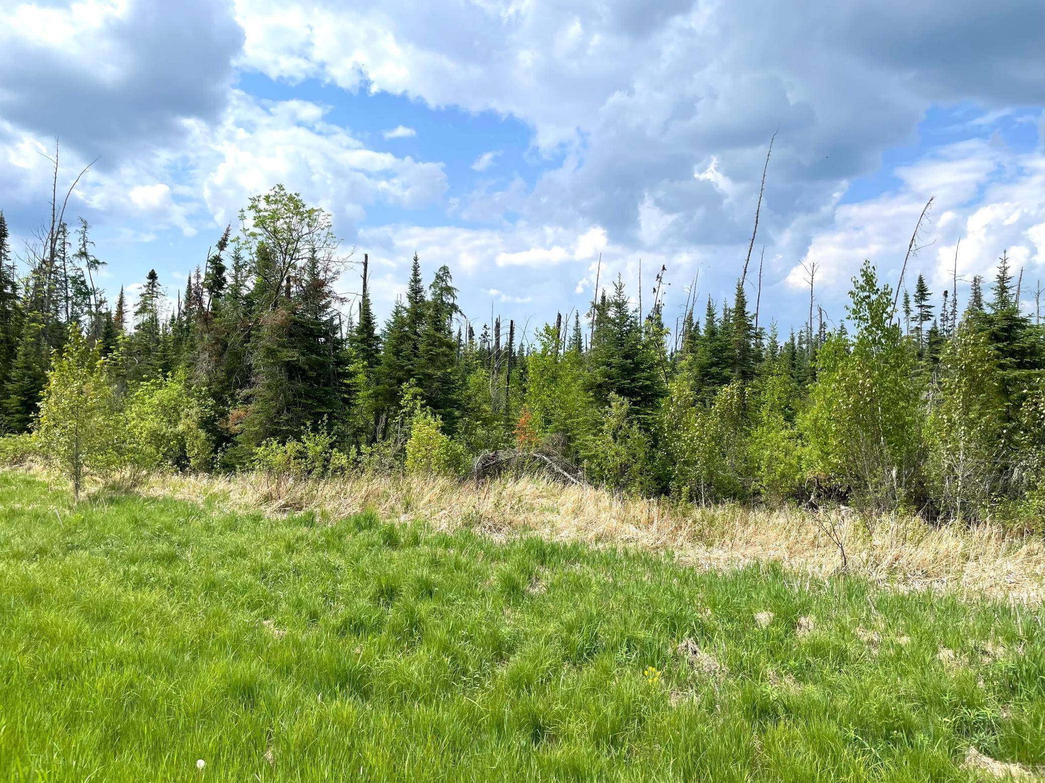 TBD N Plantangenet RD SE, Bemidji, MN 56601