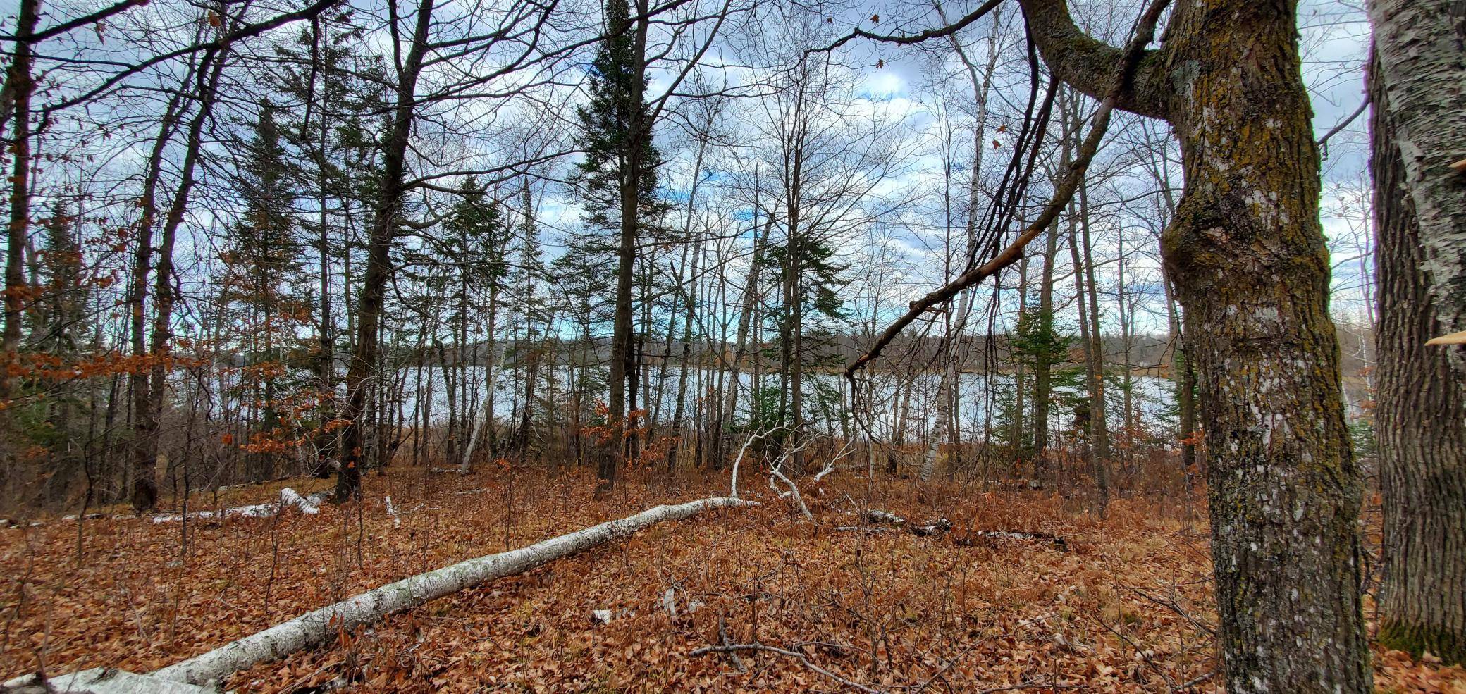 TBD - Parcel A Ticonderoga TRL, Hackensack, MN 56452