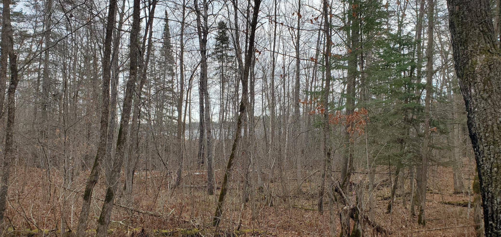 TBD - Tract 3 Ticonderoga TRL, Hackensack, MN 56425