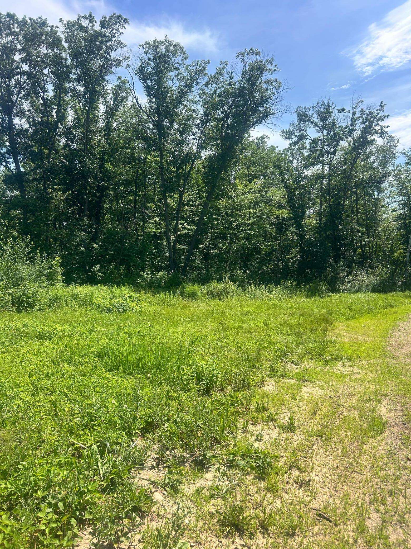 27536 Norway TRL, Randall, MN 56475