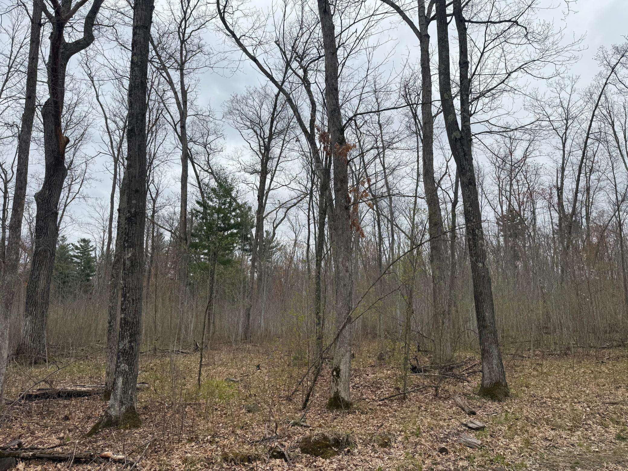 TBD Foss LN, Spooner, WI 54801