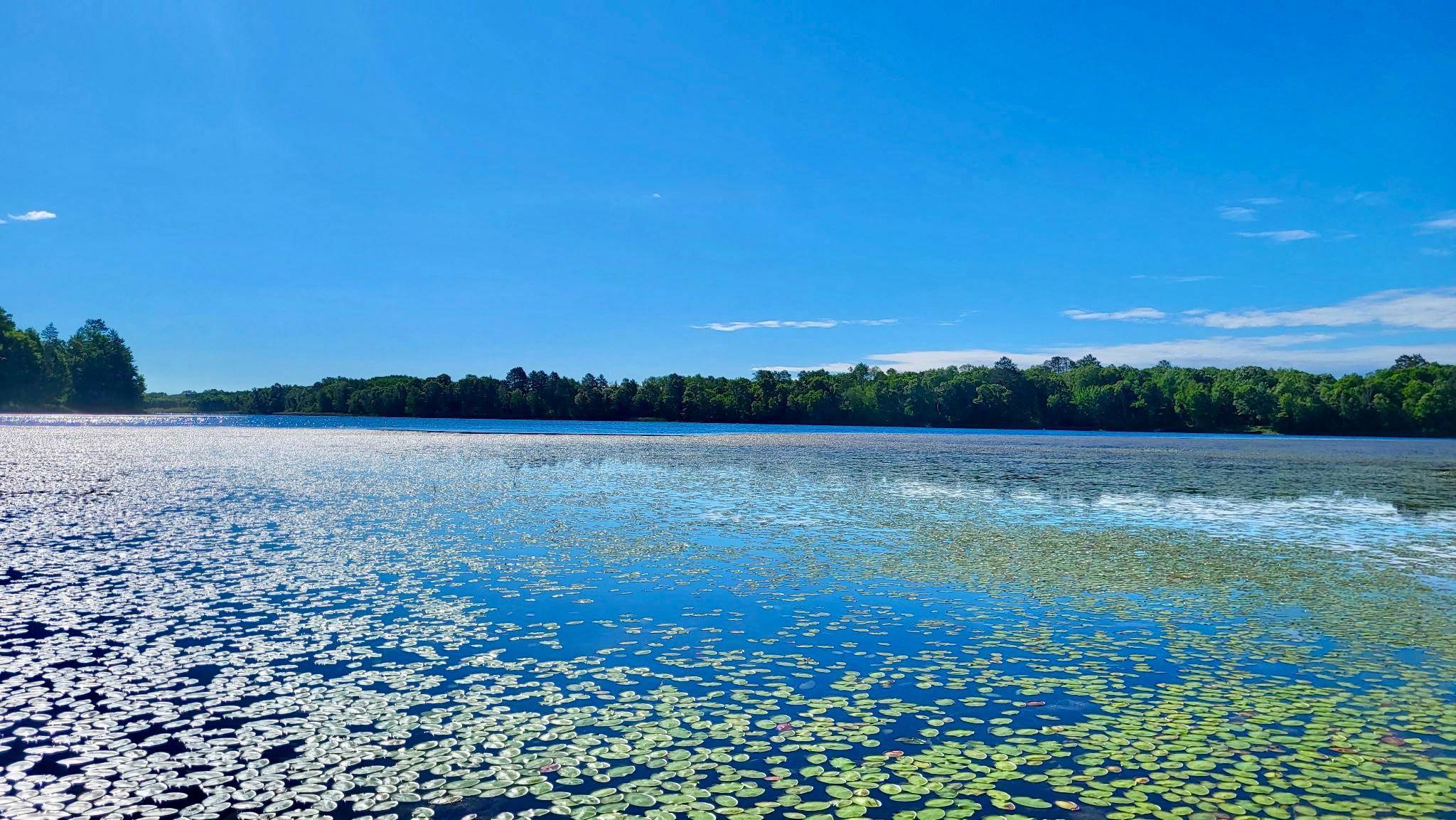 TBD Brush Lake Lane, Park Rapids, MN 56470