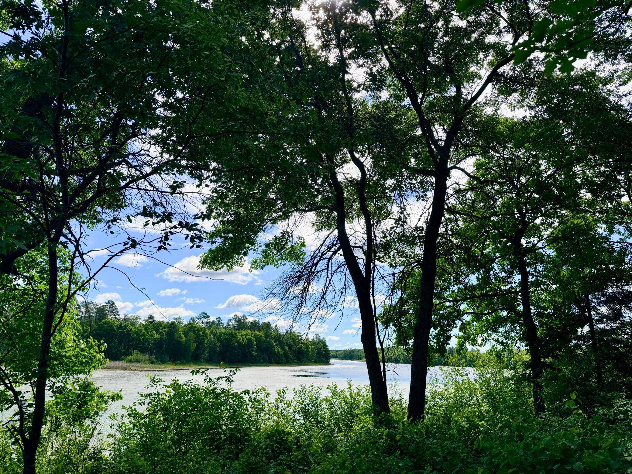 TBD Brush Lake Lane, Park Rapids, MN 56470