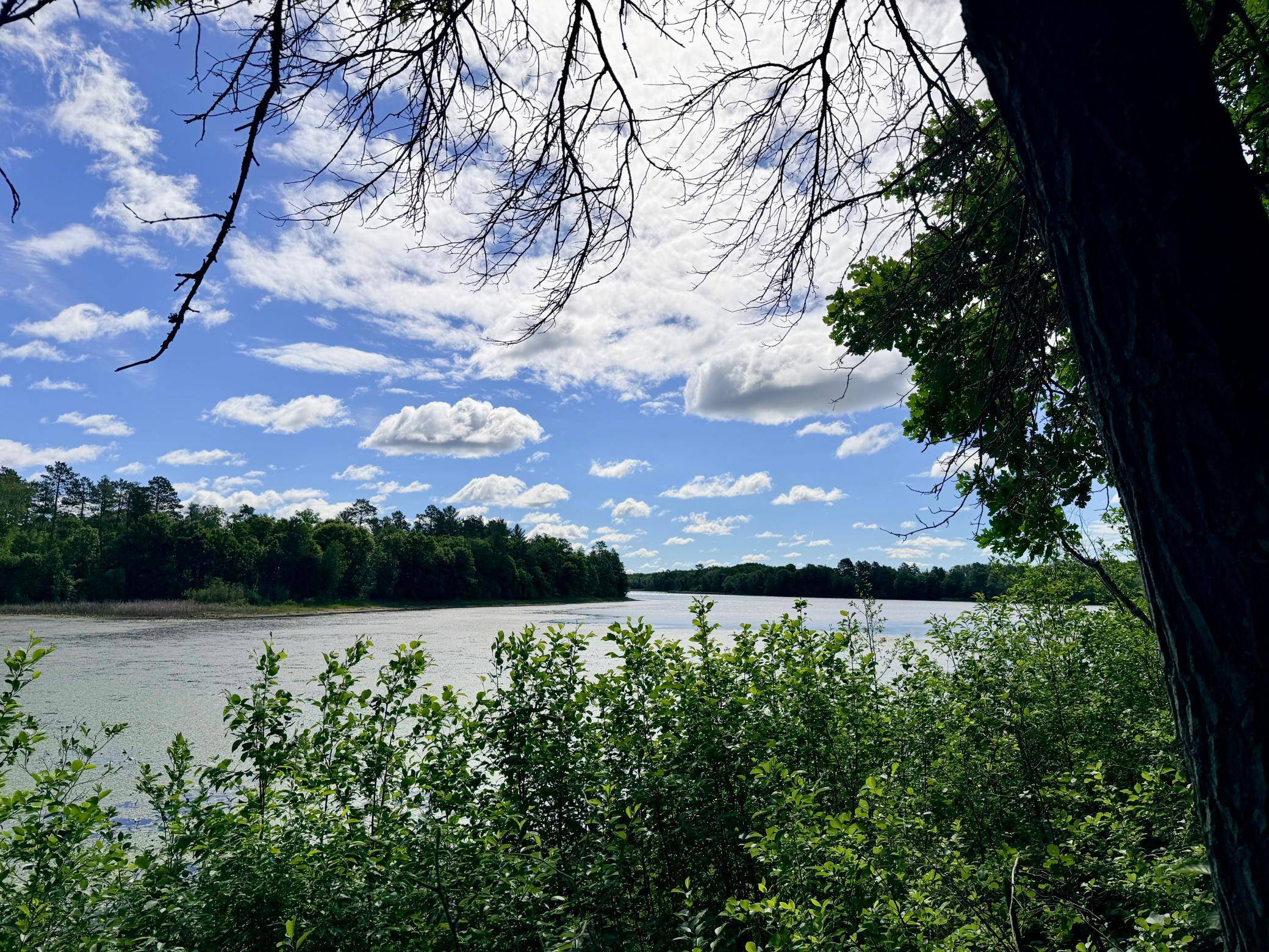 TBD Brush Lake Lane, Park Rapids, MN 56470